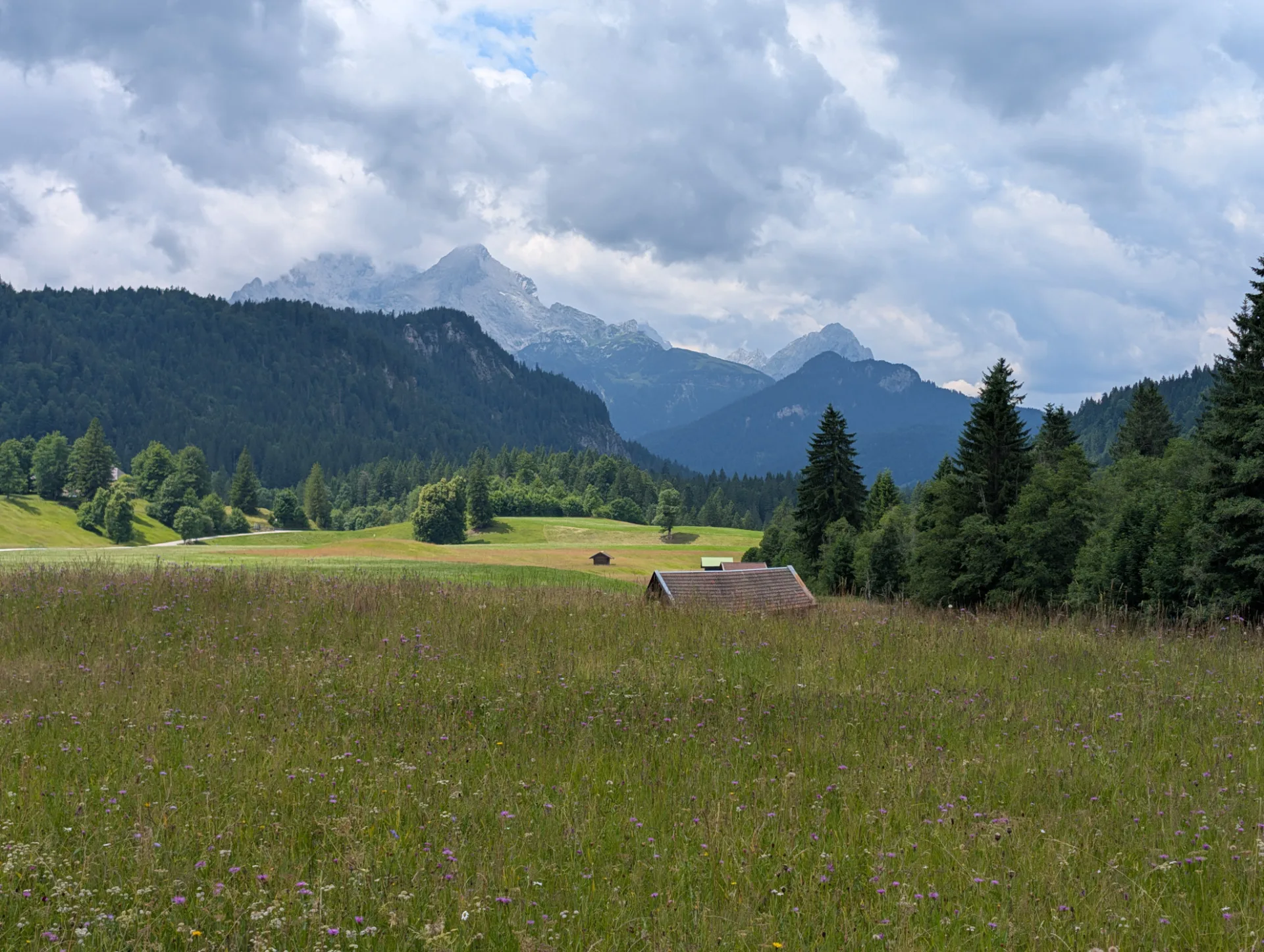 Almwiese mit Stadel vor Wettersteinmassiv