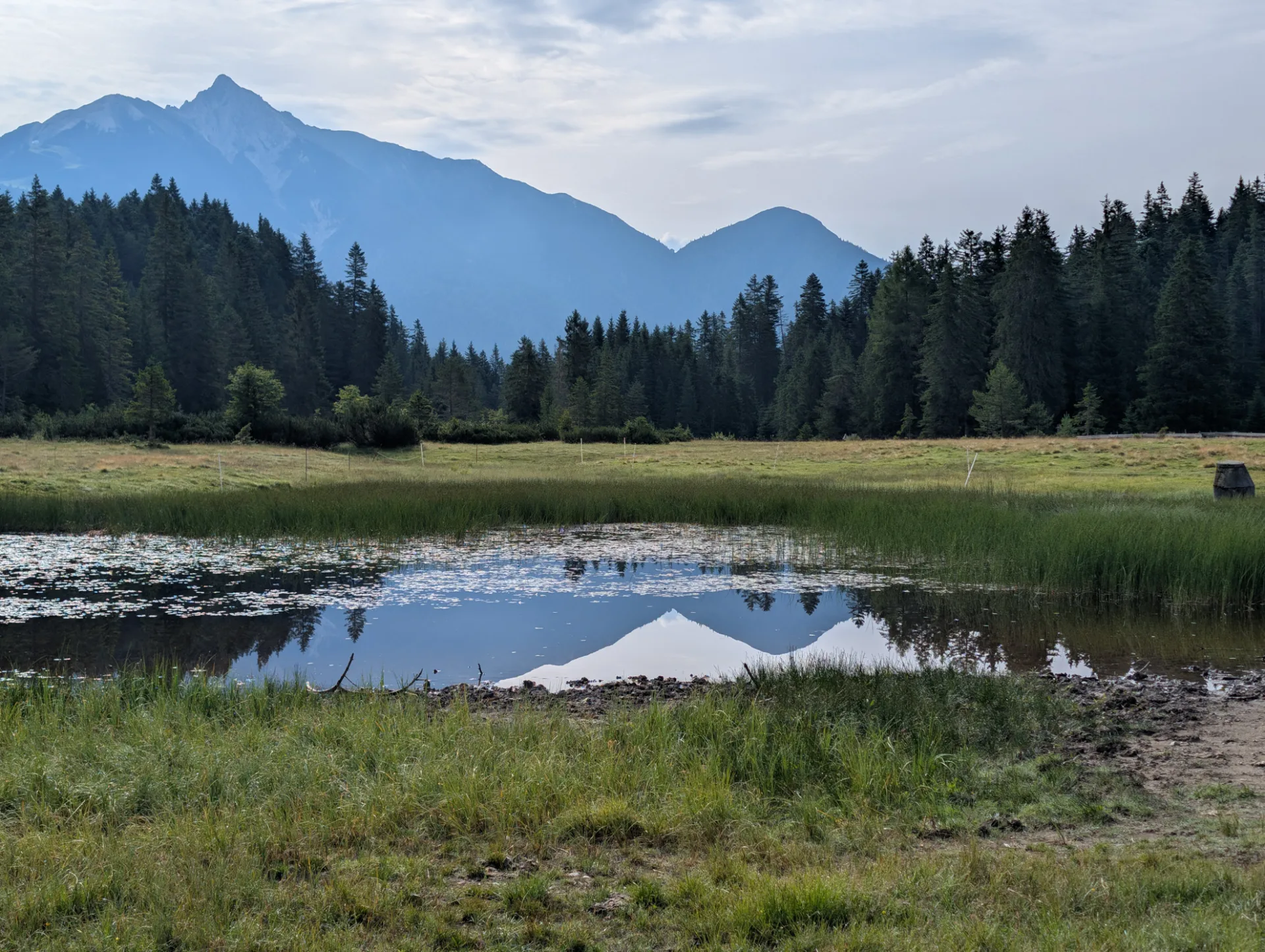 Moorsee mit Bergspiegelung