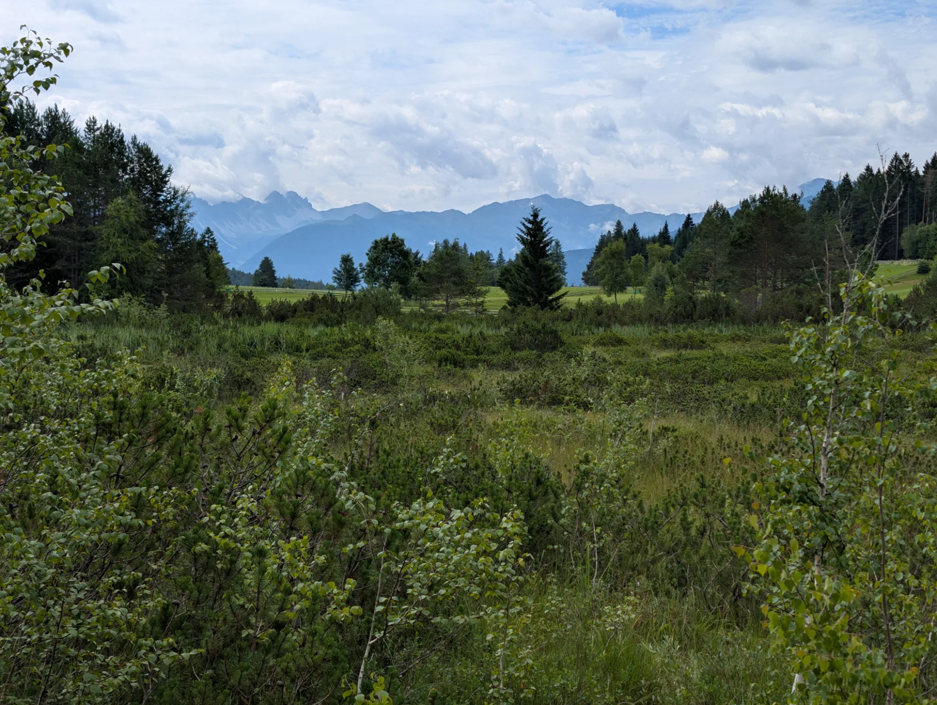 Moorlandschaft vor fernen Bergen