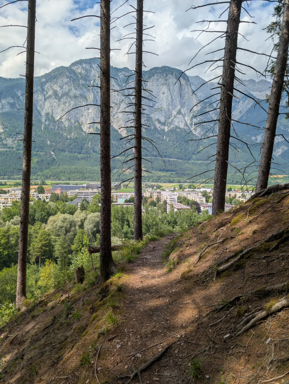 Wanderweg mit Aussicht auf Innsbruck