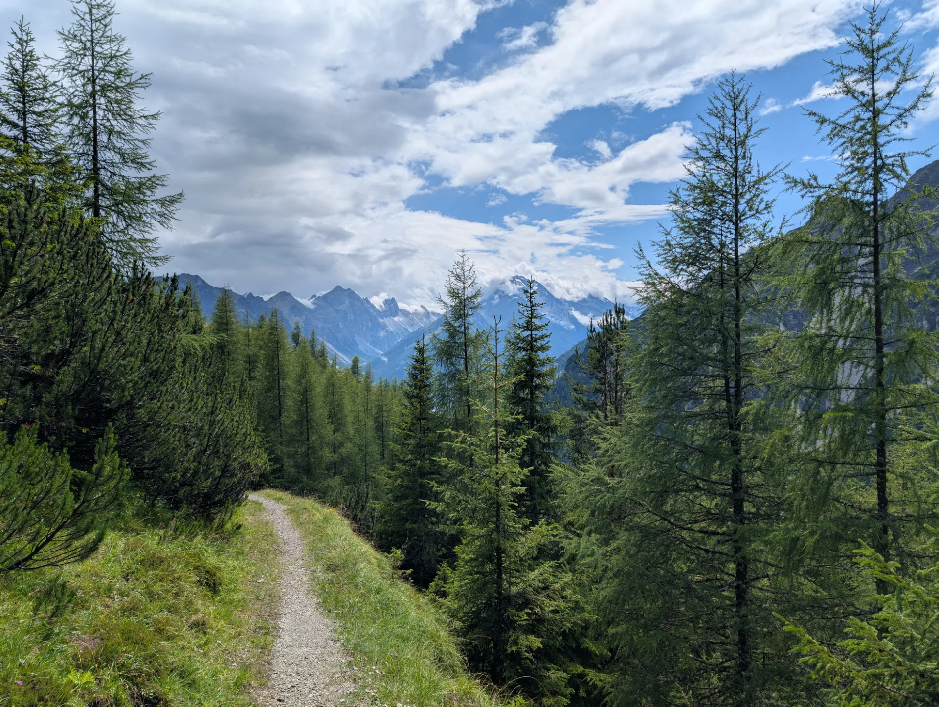 Lärchenwald-Pfad mit Bergblick