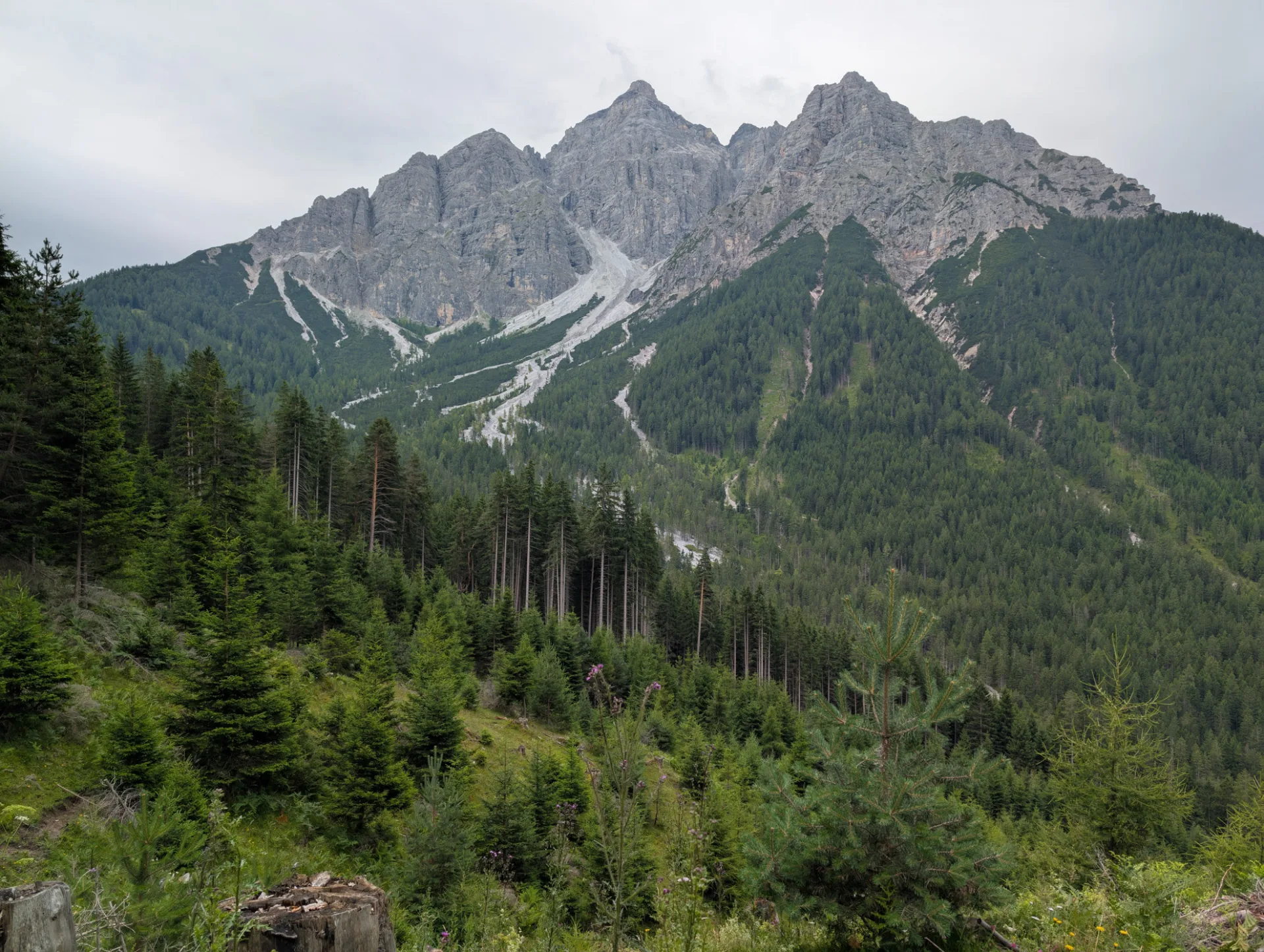 Stubaier-Alpen-Massiv aus dem Wanderweg