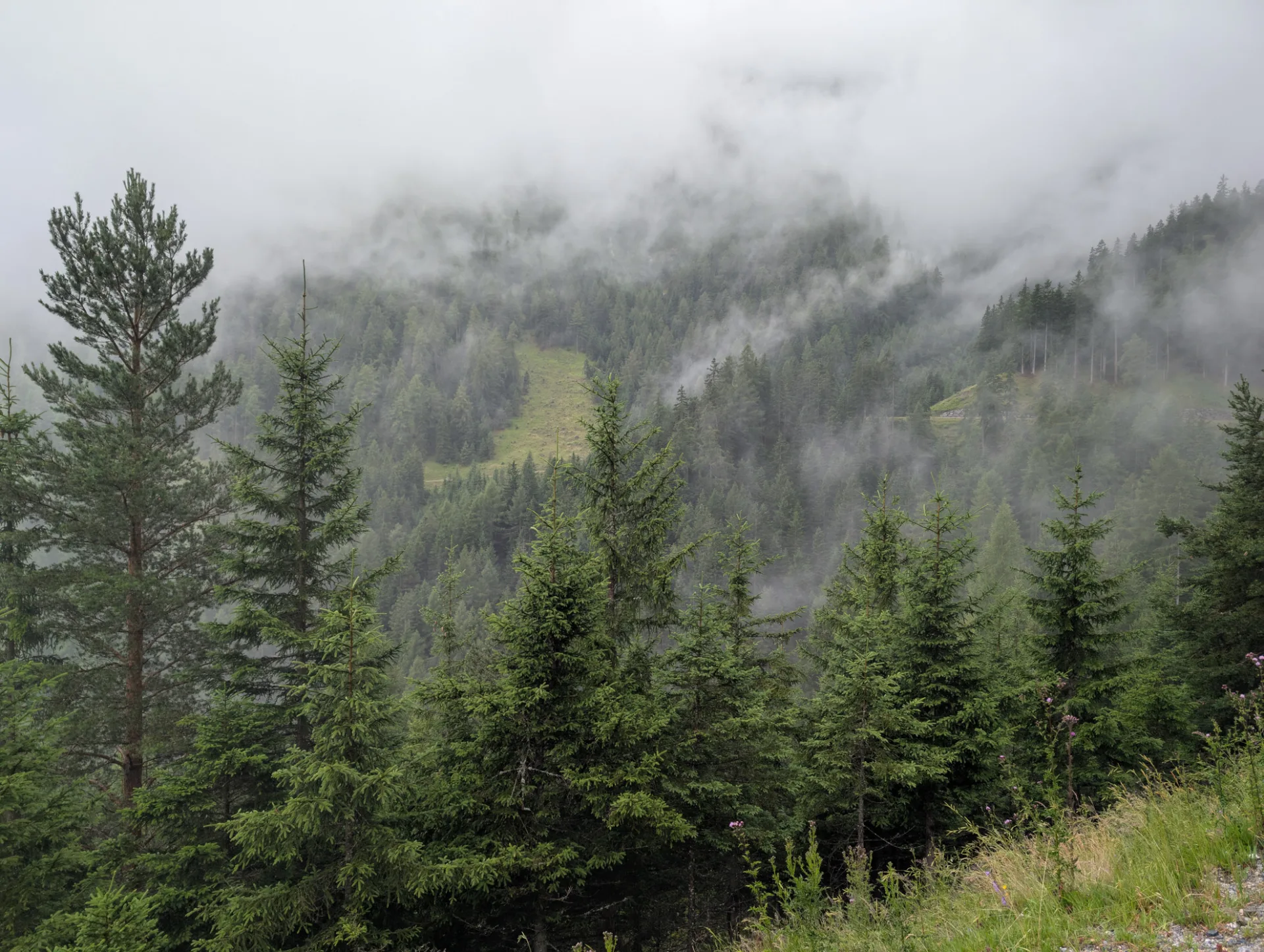 Wolkenverhangene Berghänge auf der nicht-Standardroute