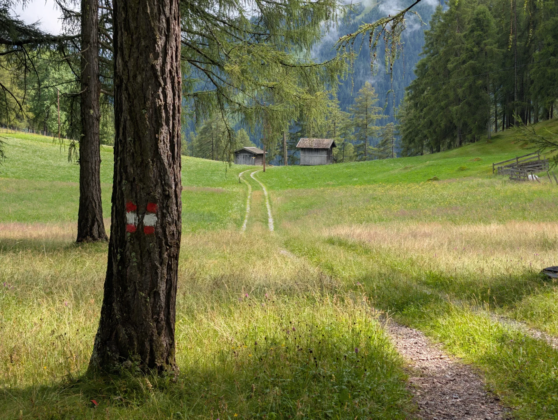 Wanderpfad mit AT-Markierung und Almhütten
