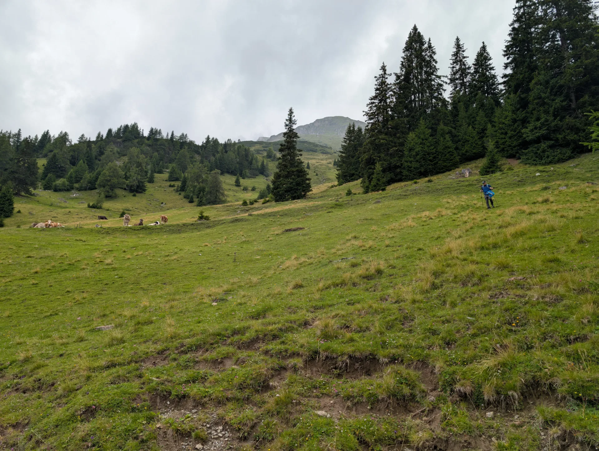 Wanderin auf Almwiese unter wolkigem Himmel