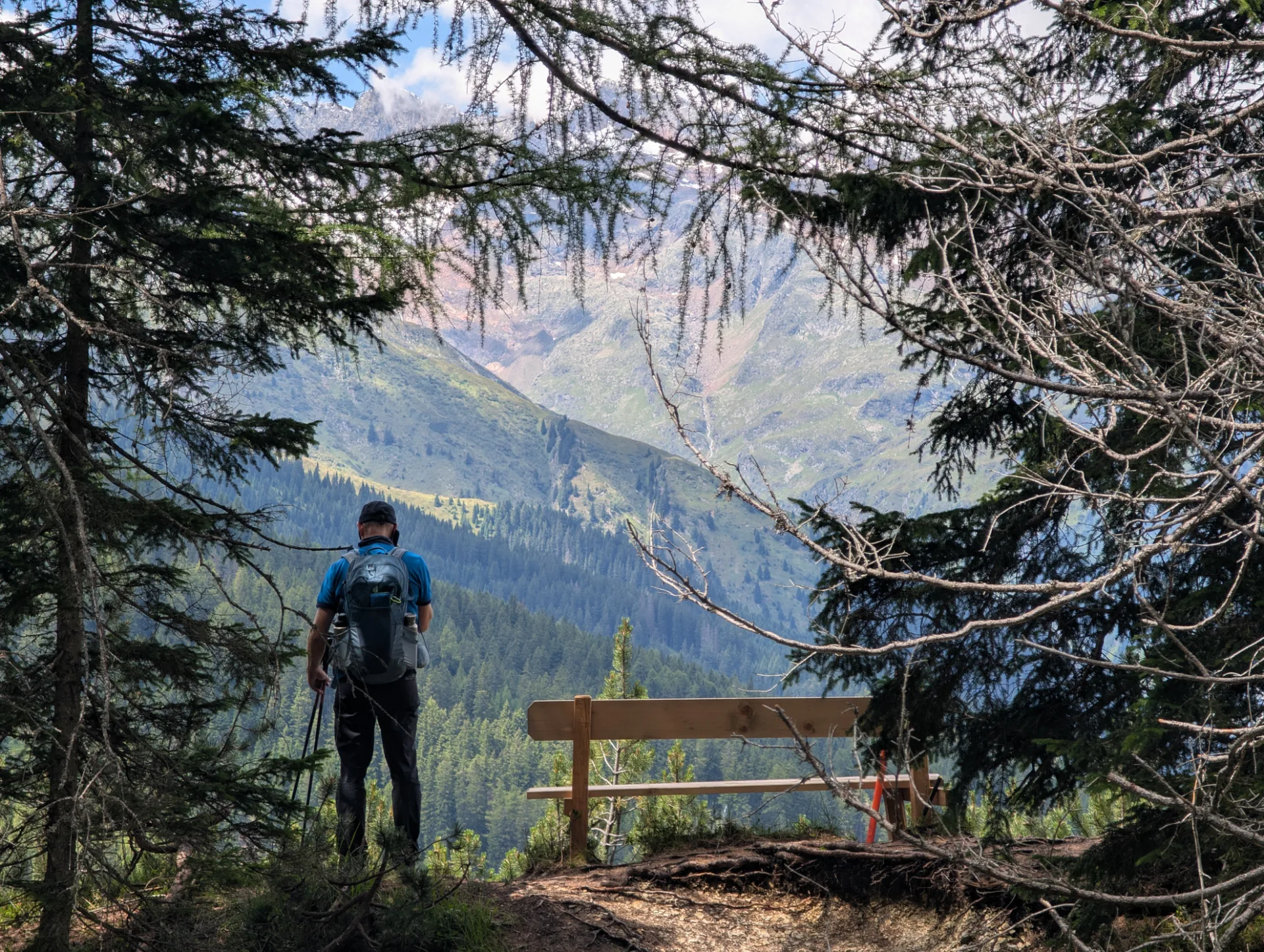 Aussichts-Bank am Steig durch den Lärchenwald