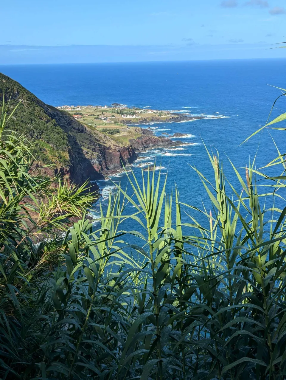 Steilküste am Atlantik mit grüner Landzunge