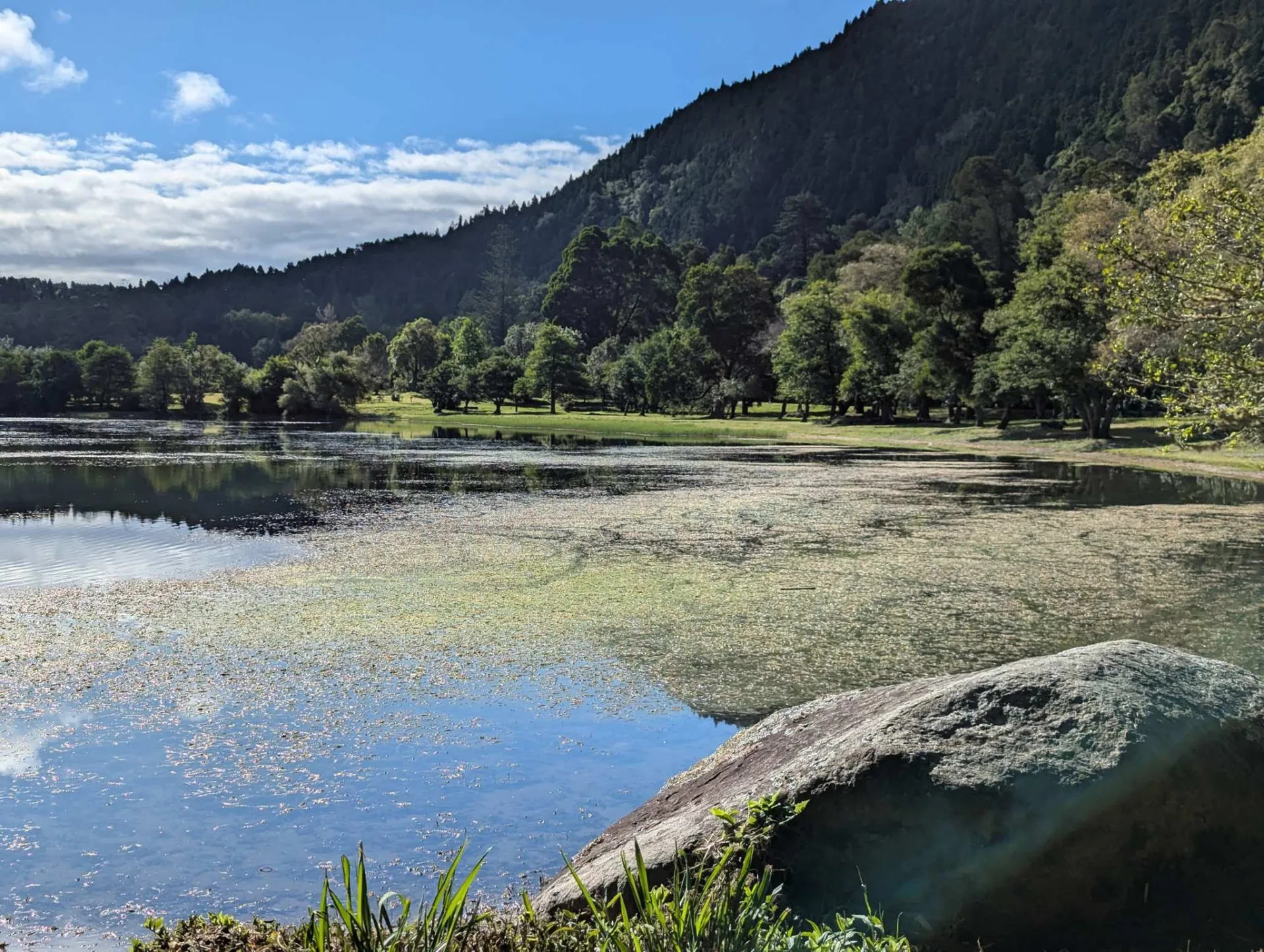 Die Lagoa das Furnas mit bewaldeten Hängen