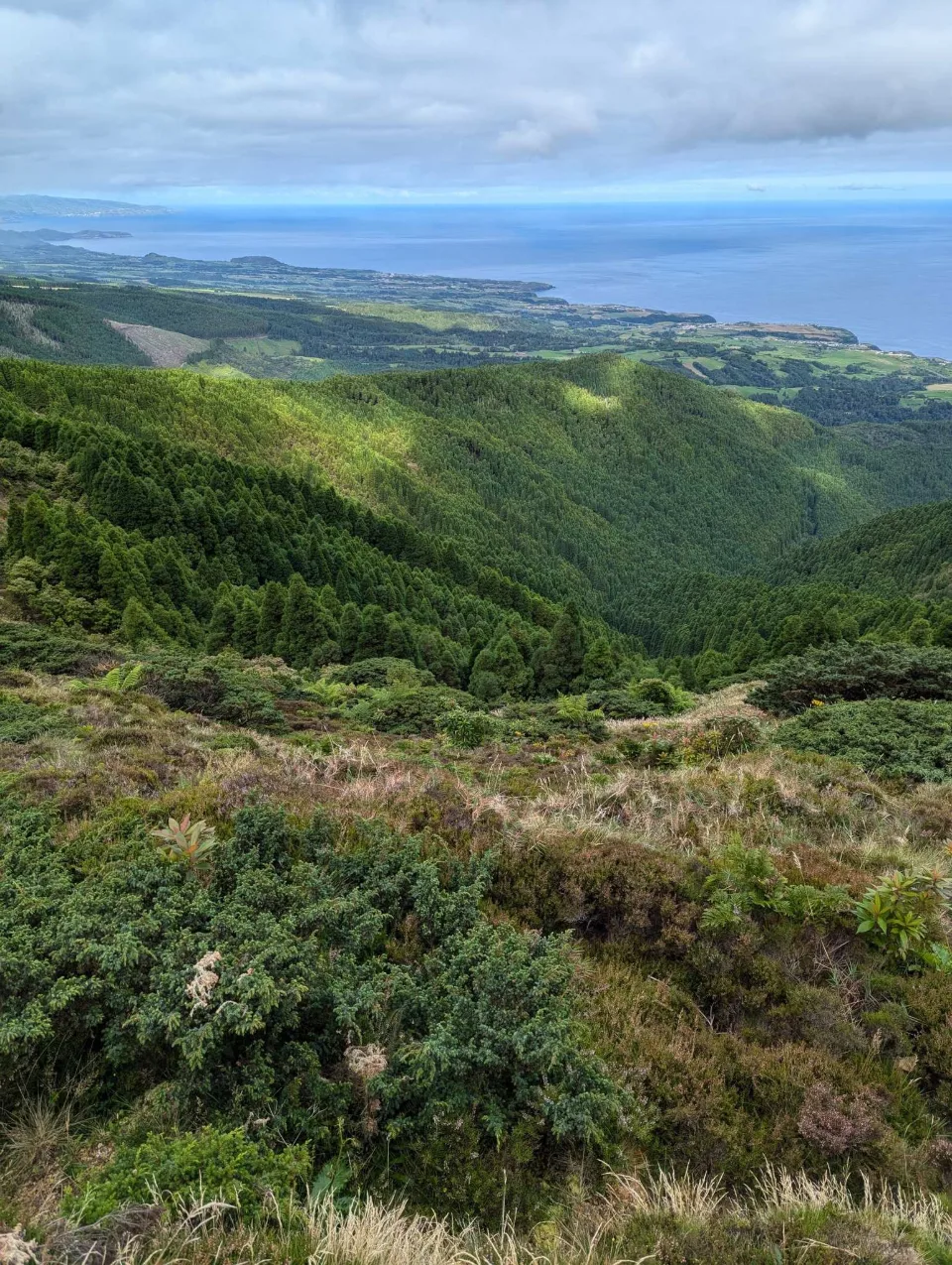 Blick von den Höhen über die Wälder zur Küste