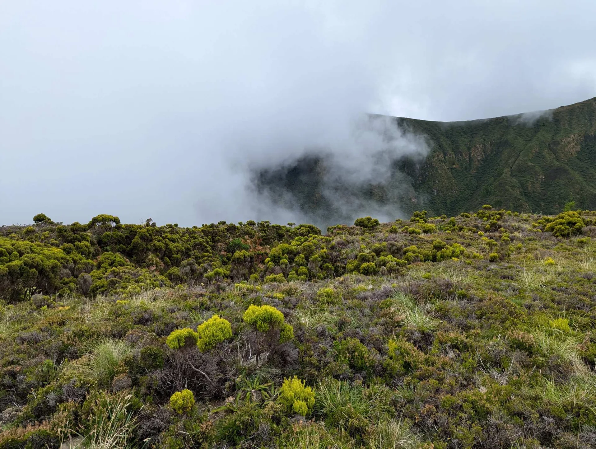 Nebel zieht über den Kraterrand der Lagoa do Fogo