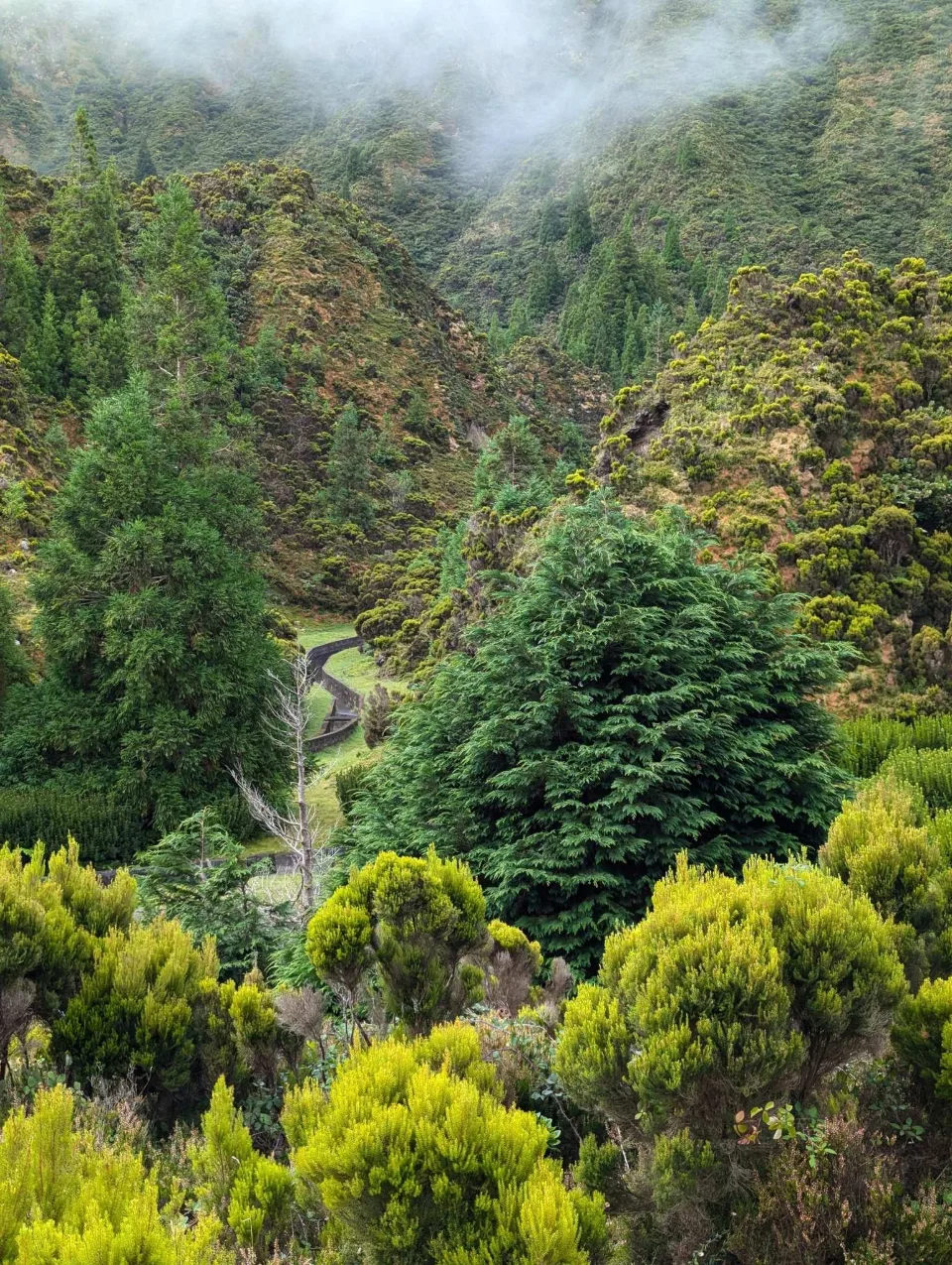 Nebelverhangenes Waldtal beim Abstieg