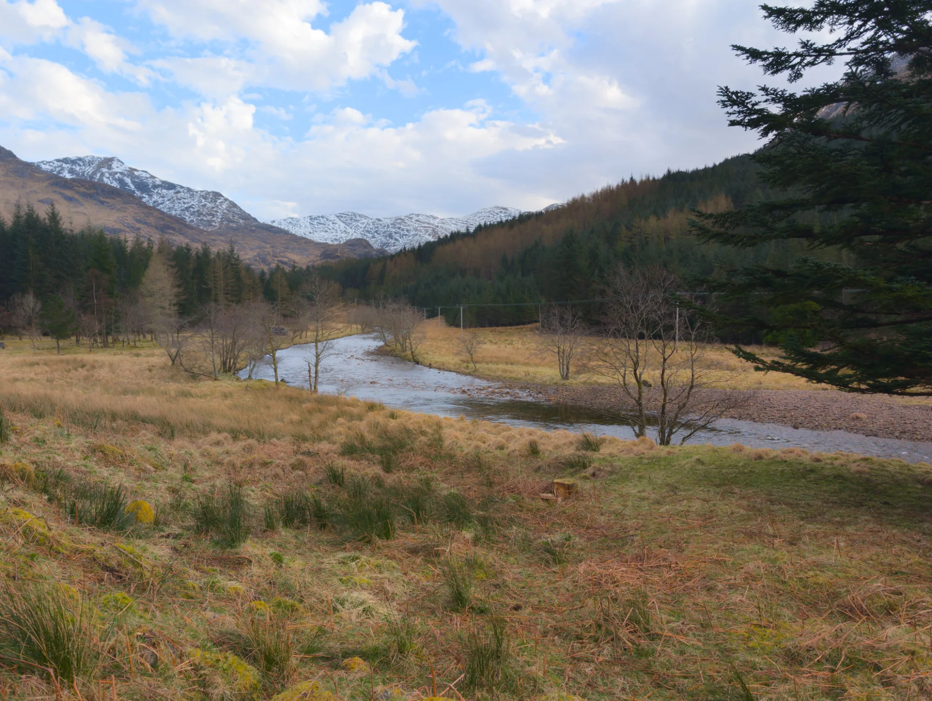 Tal mit Fluss zwischen Nadelwald und Berghängen