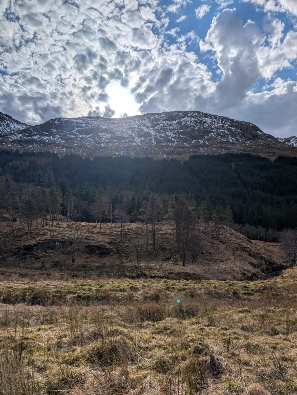 Sonne hinter dem Berg, Wolken über dem Wald