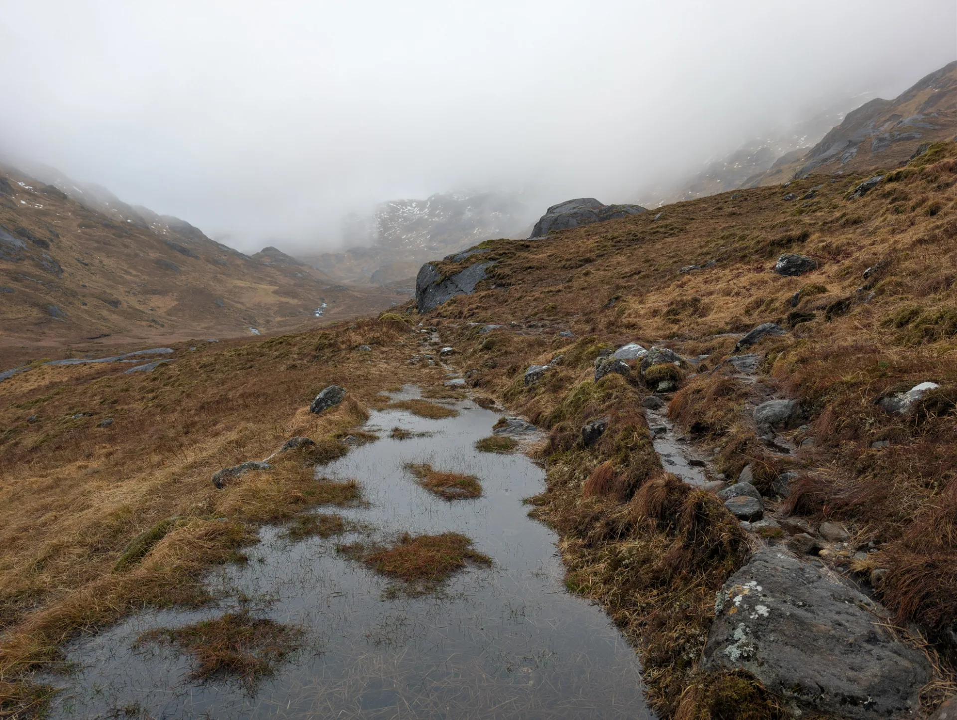 Pfadwasser auf moorigem Berghang im Nebel