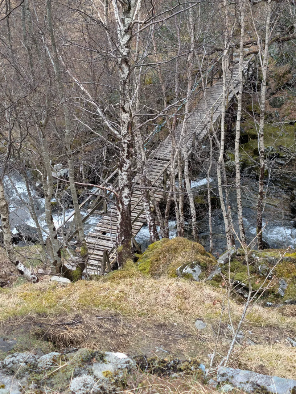 Die marode Holzbrücke vor Sourlies — Würfelbruch im tragenden Balken