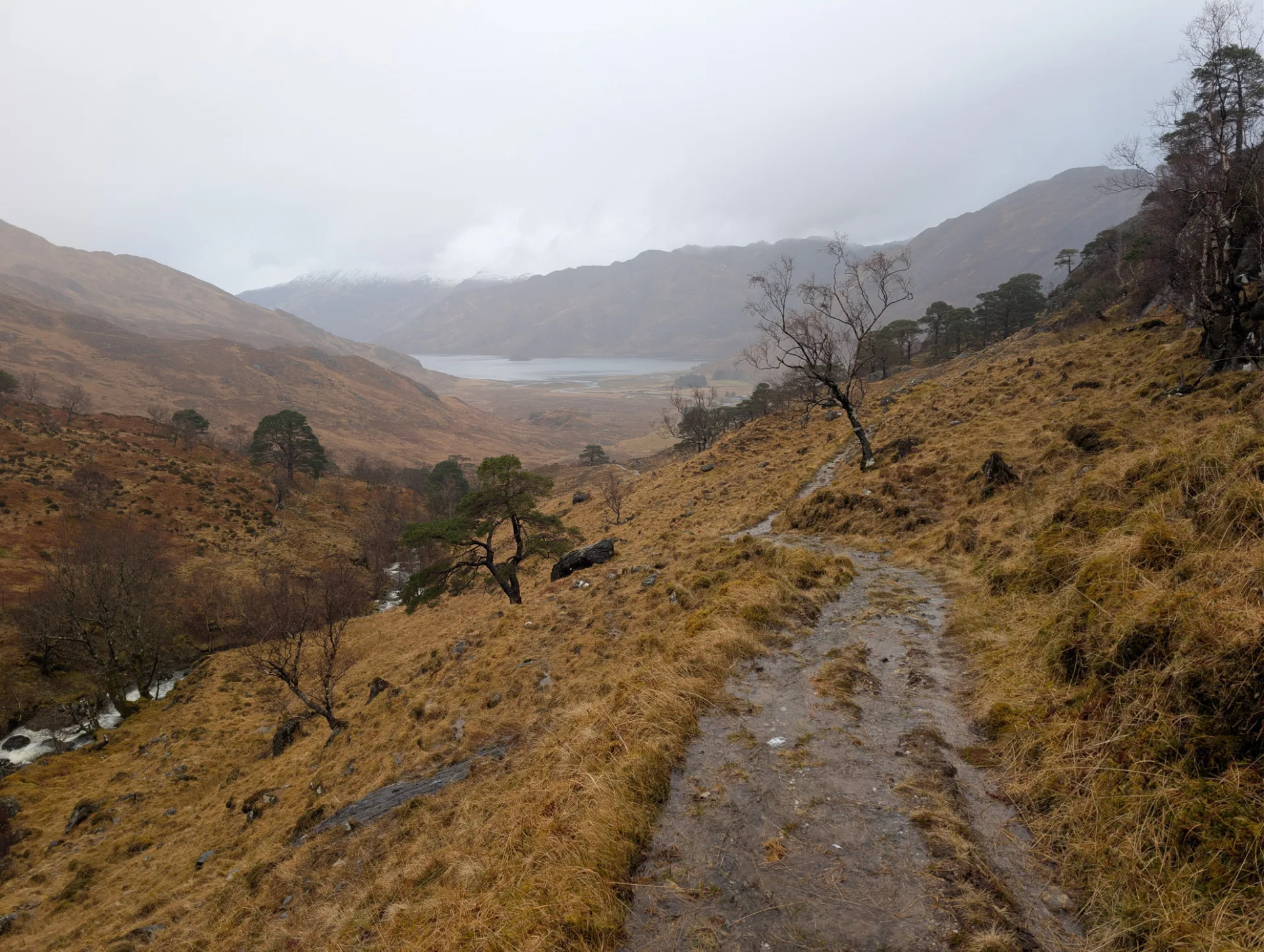 Abstieg Richtung Loch Hourn — der Pfad führt zum Wasser hinab