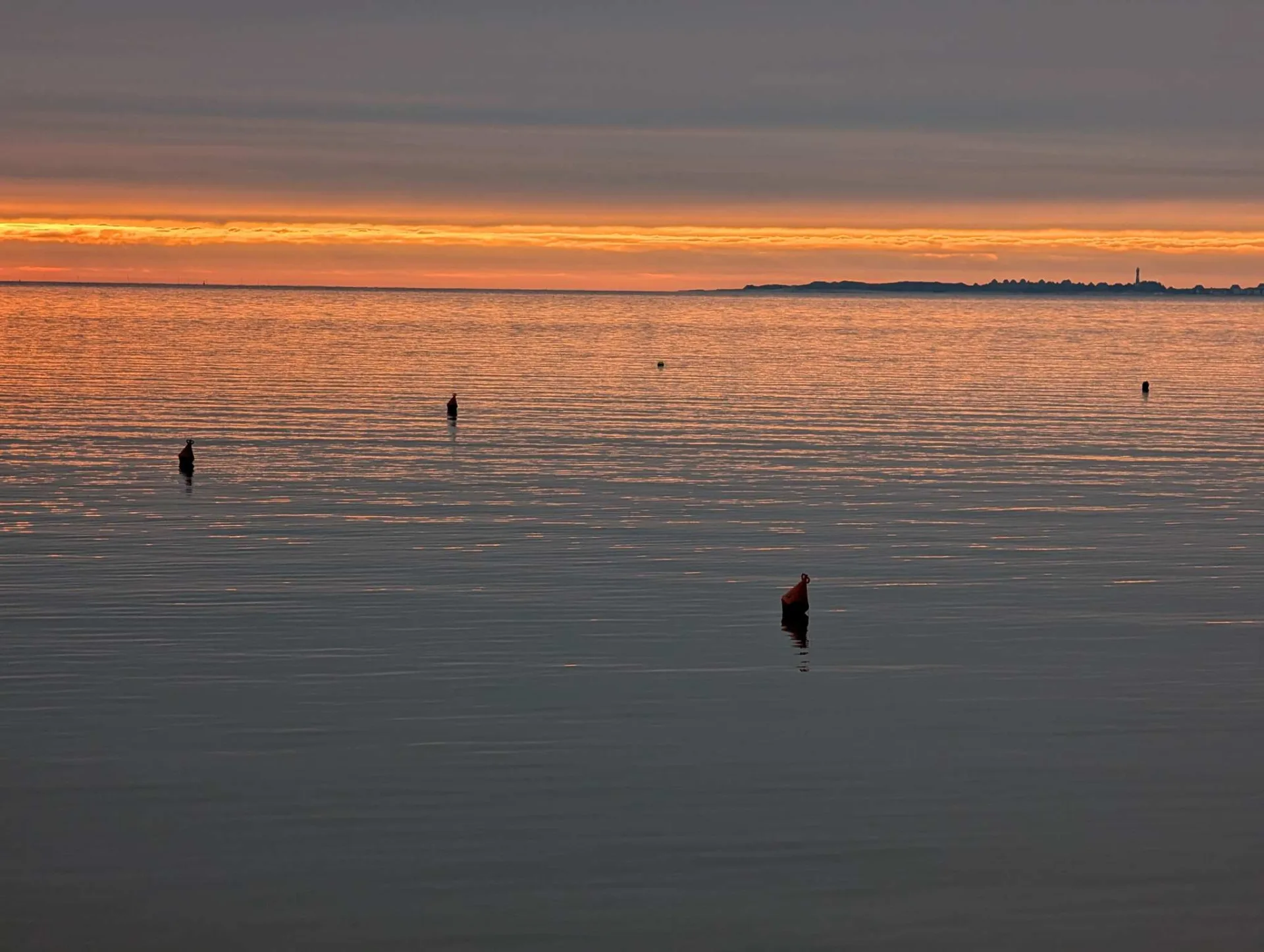 Sonnenuntergang hinter Amrum, Vögel auf den Pricken.