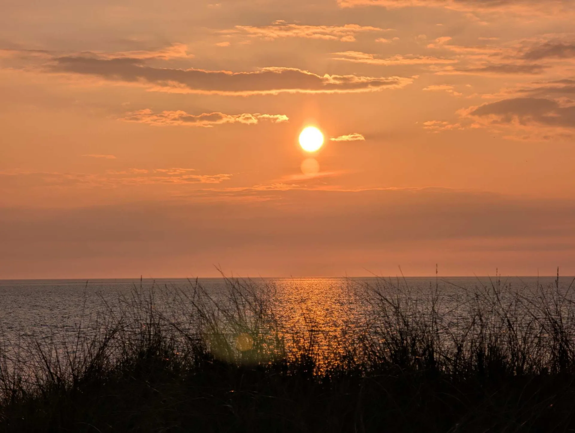 Goldener Abend: die Sonne sinkt überm Meer, Dünengras im Gegenlicht.