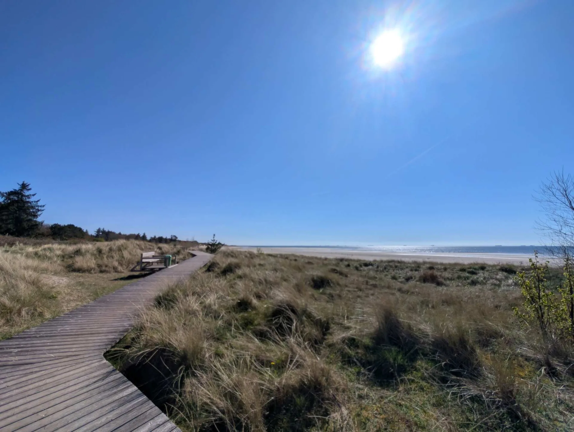 Bohlenweg durch die Dünen zum Südstrand – Föhr von seiner sonnigen Seite.