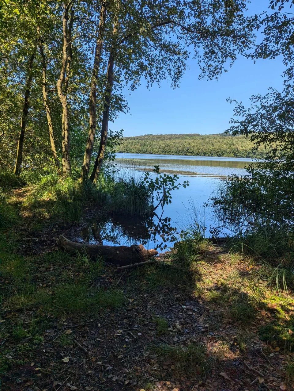 Durch die Bäume öffnet sich der erste Blick auf den See.