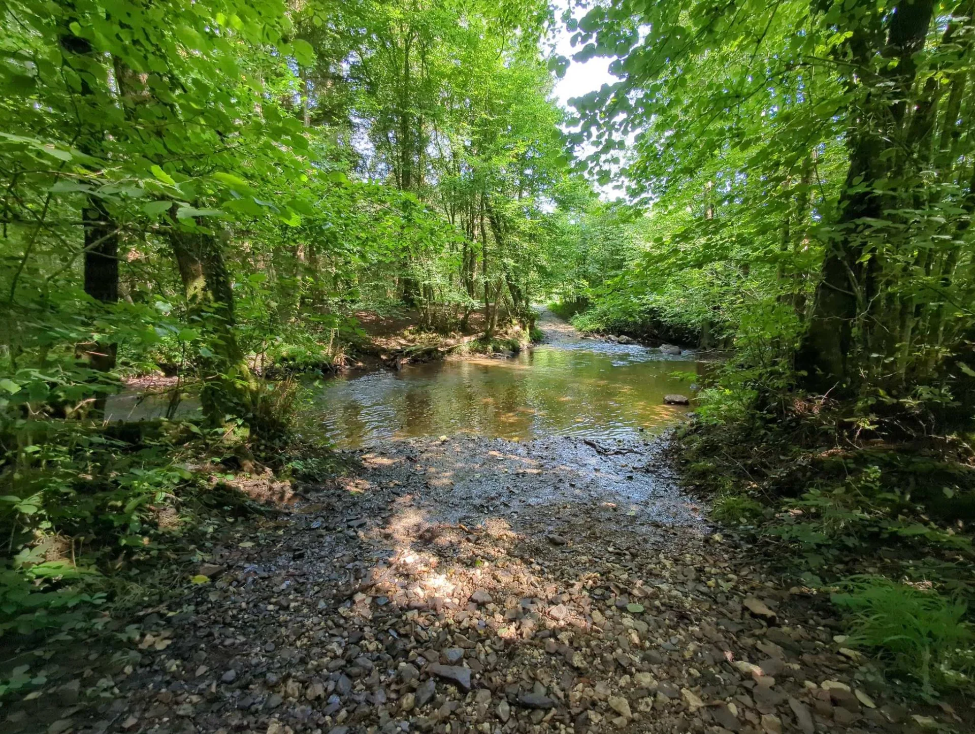 Ein breiterer Bach quert den Weg, das Wasser klar über dem Kiesbett.