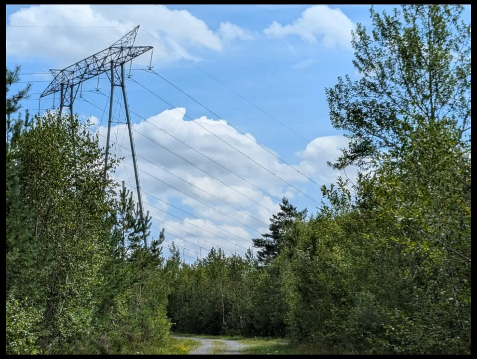 Wo die Stromtrasse den Wald teilt, führt der Weg unter den Leitungen hindurch.