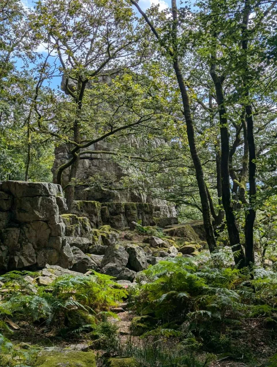 Der Felsturm selbst ragt grau aus dem Eichenwald – Quarzit, vom Wetter zerklüftet.