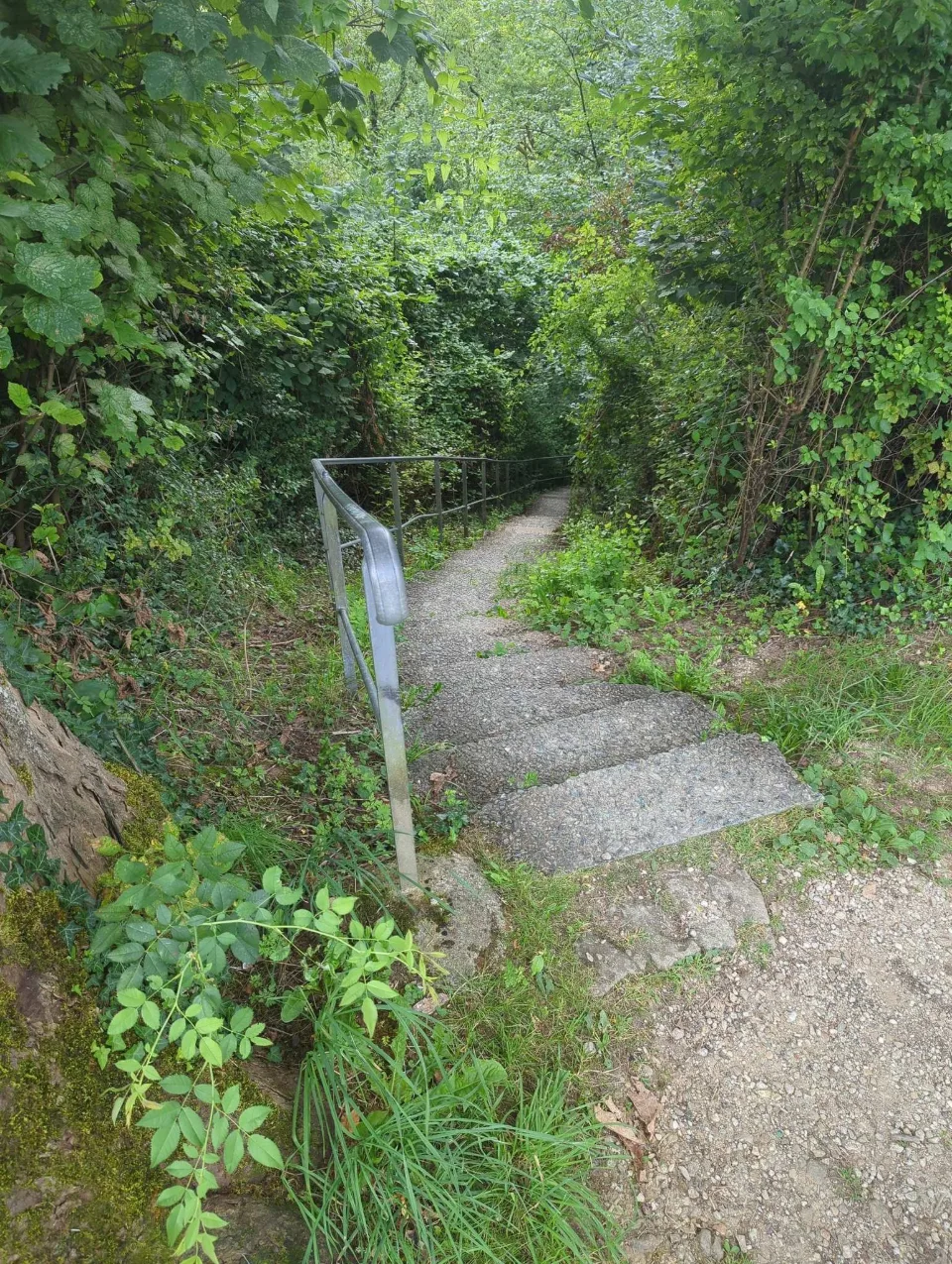 Eine verwachsene Treppe führt hinab – nicht überall ist der Weg gepflegt.