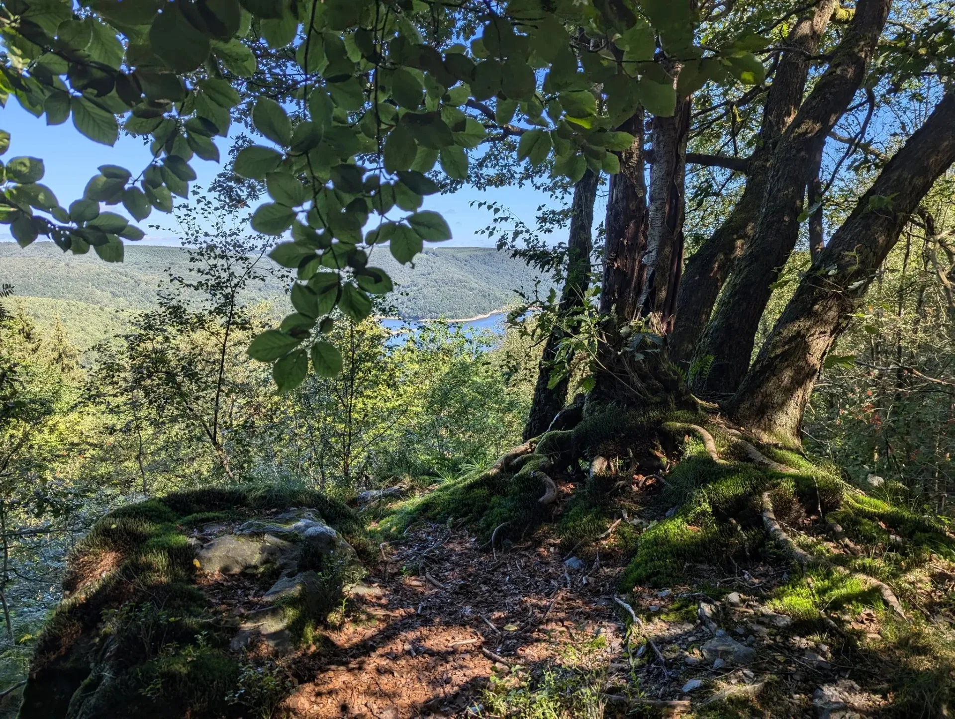 Am Aussichtspunkt über dem Bassin de Whitaker – durch das Blätterdach blitzt das Wasser tief im Tal.