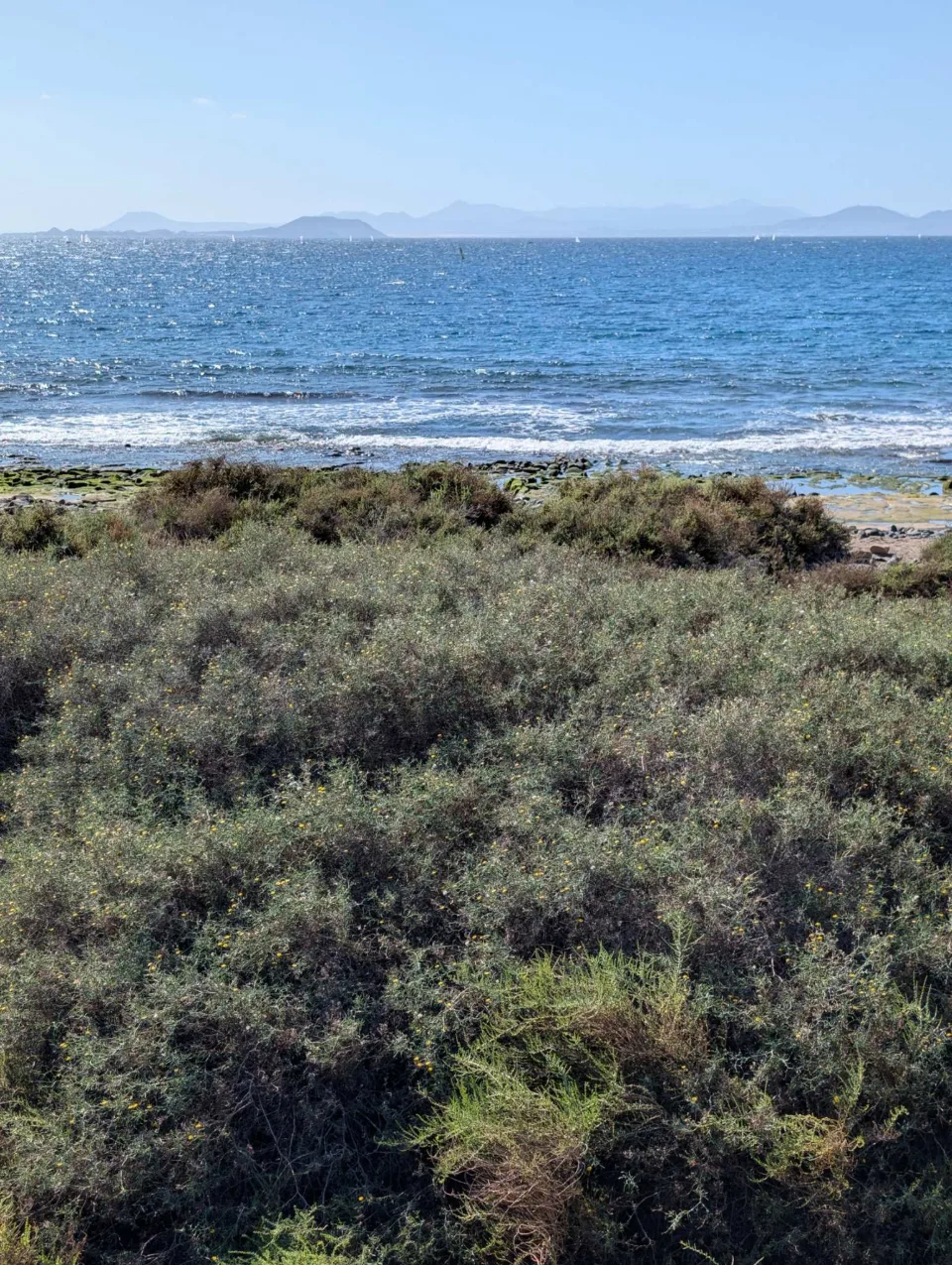 An der Südküste bei Playa Blanca: türkises Wasser und niedrige Küstensträucher.