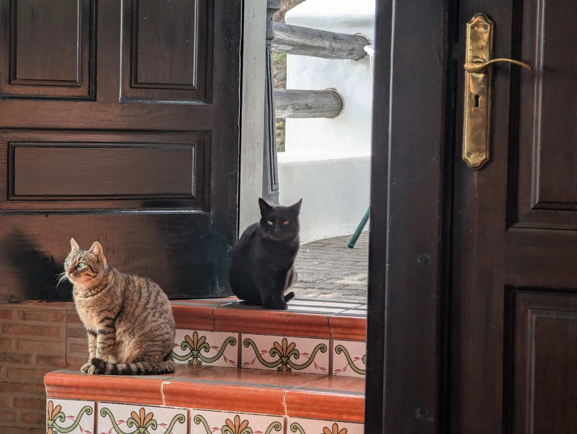 Zwei Katzen halten Wache in einem Hauseingang in Femés.