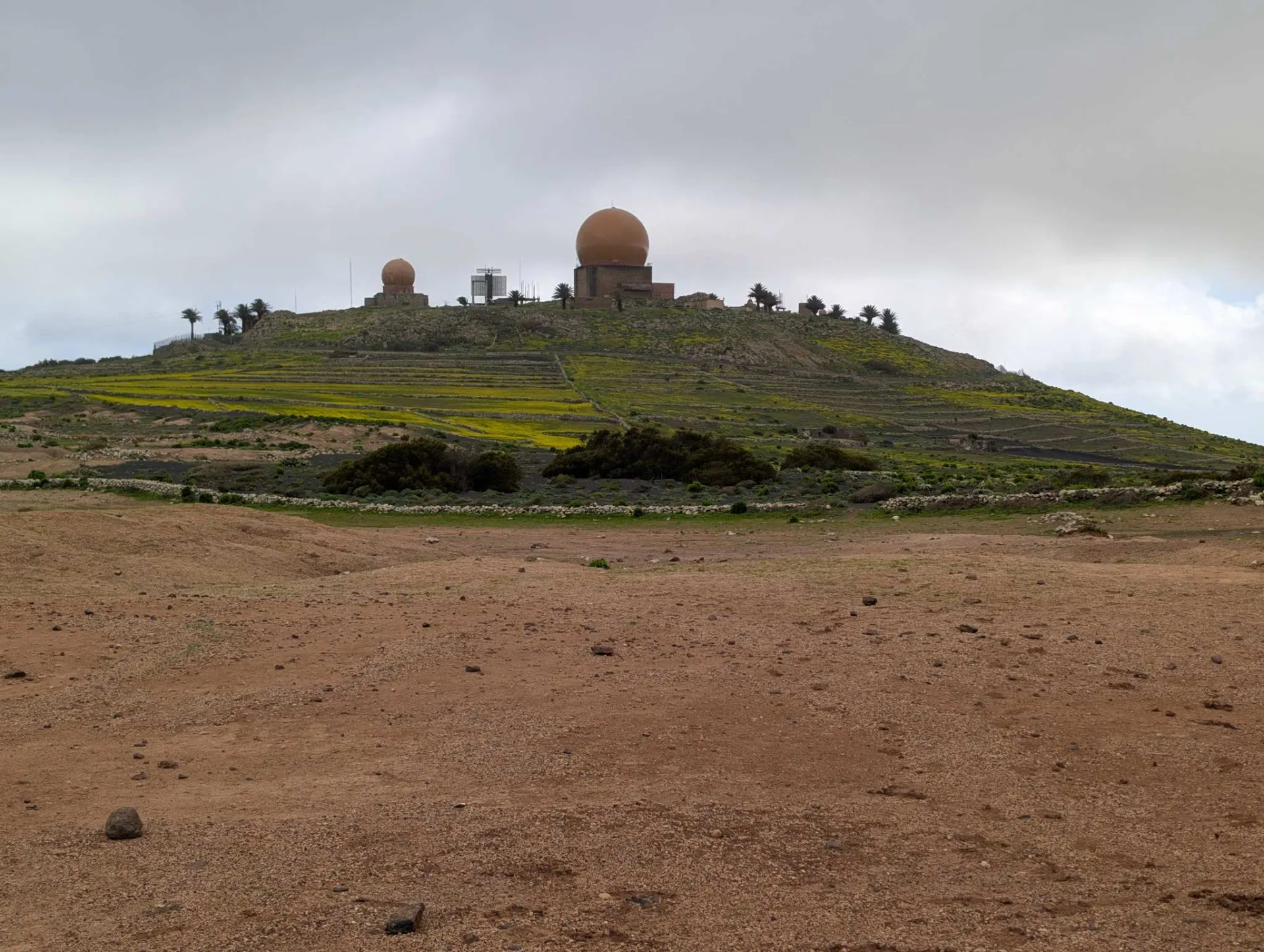 Oben auf dem Plateau: ein verfallenes Gemäuer zwischen gelben Blüten.