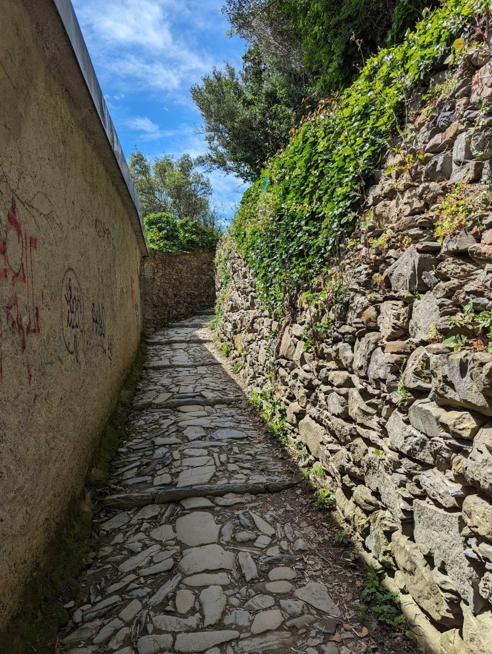 Gepflasterter Saumpfad zwischen Mauern oberhalb der Cinque Terre