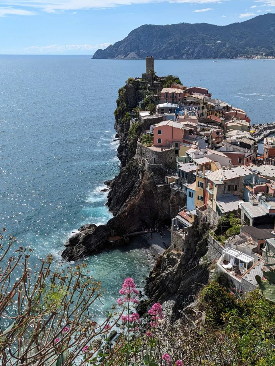 Das Dorf Vernazza auf seiner Felsnase, mit blühender Spornblume im Vordergrund