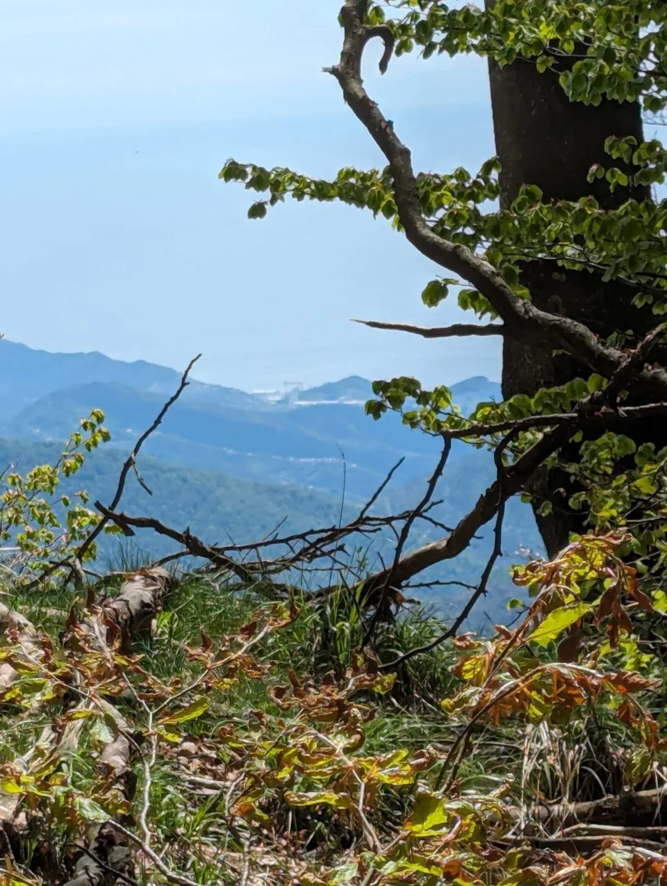 Dunstiger Fernblick zur ligurischen Küste