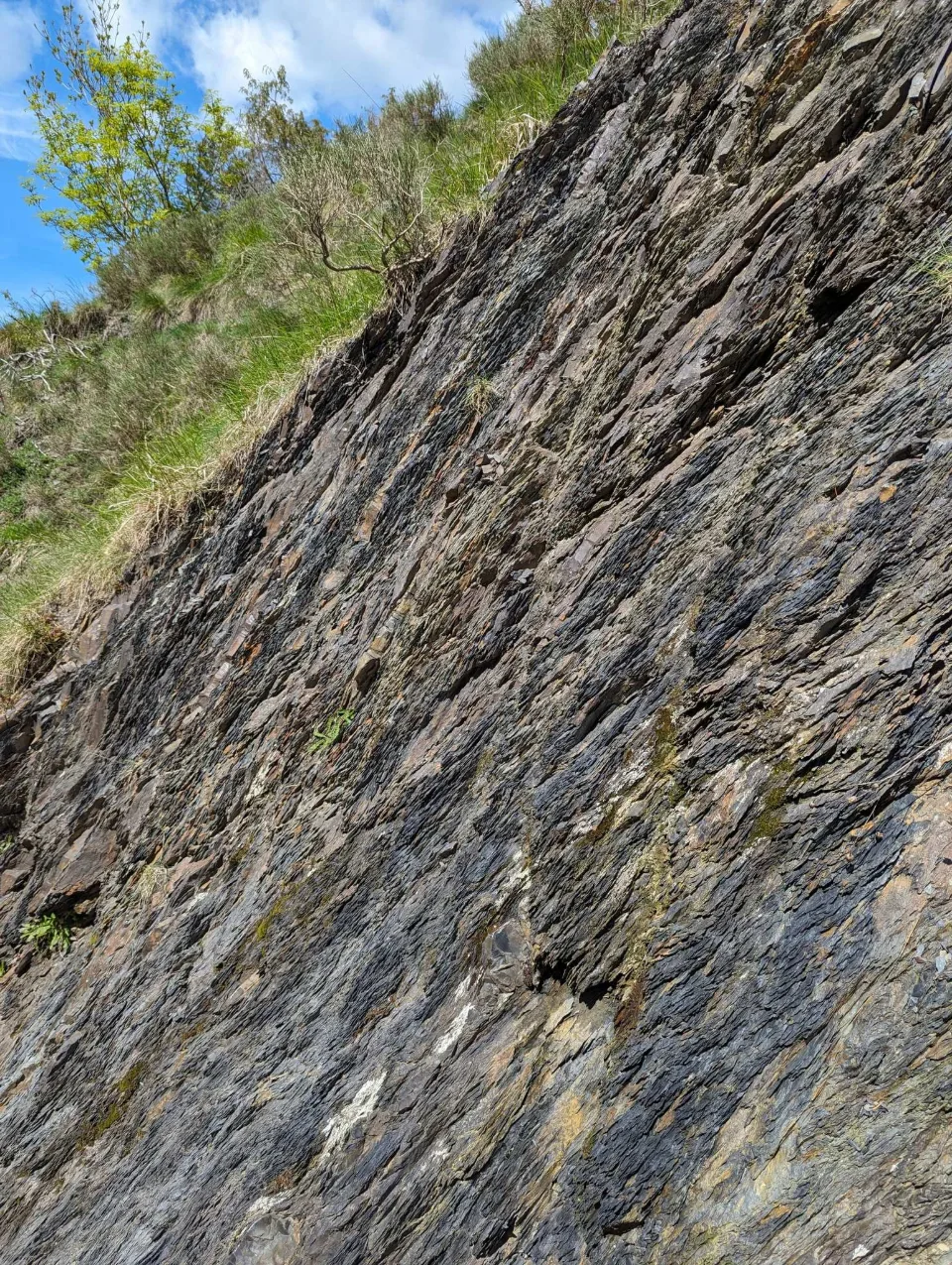 Gefaltete Gesteinsschichten am Wegrand