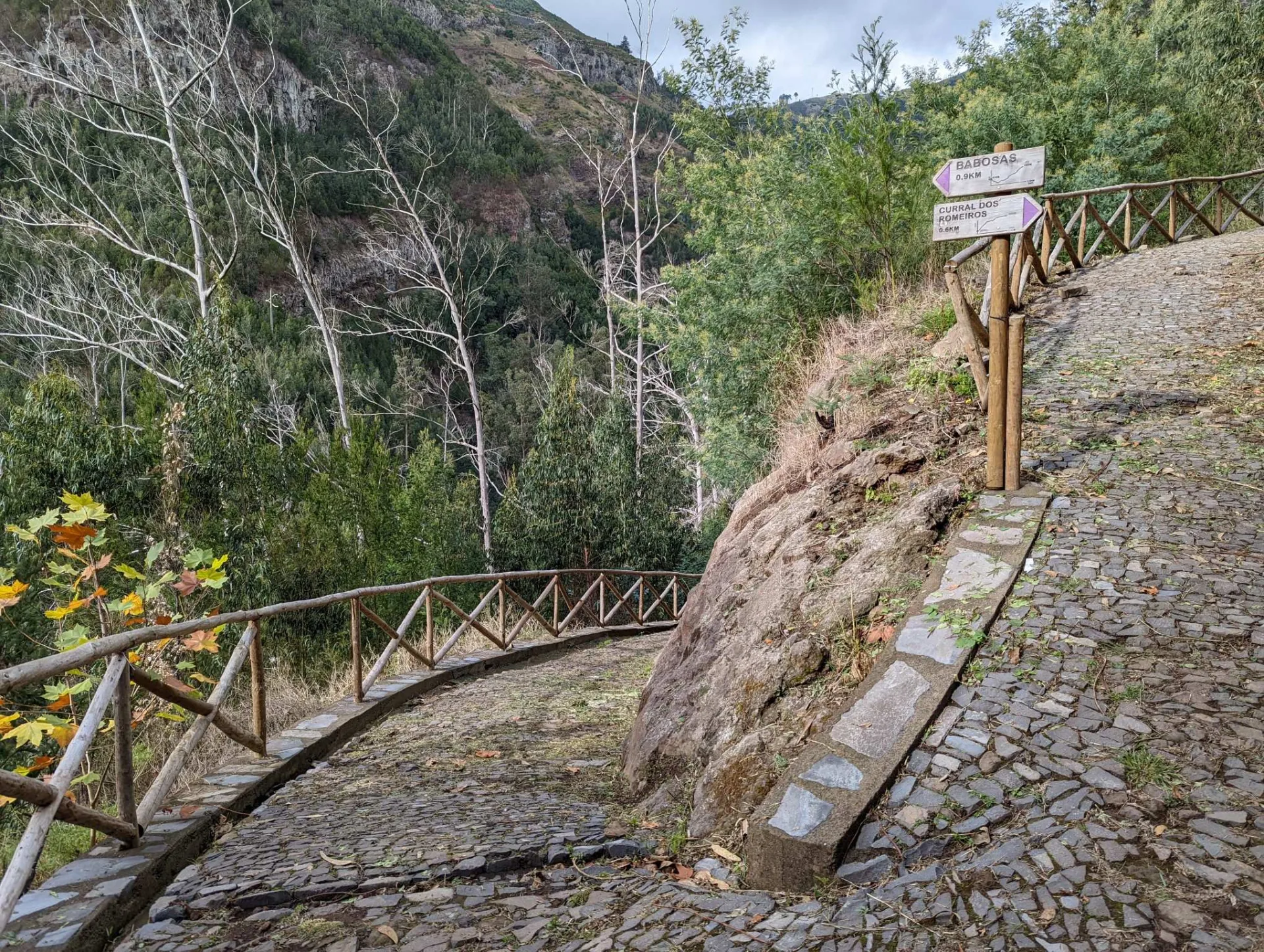 Gepflasterter Weg mit Wegweiser oberhalb von Funchal