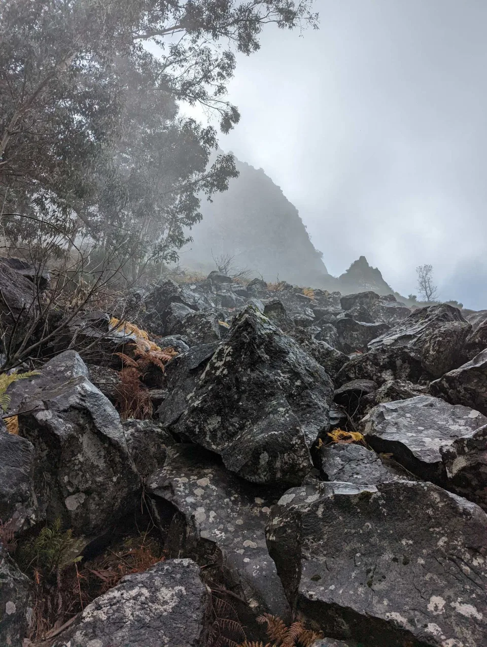 Nebelverhangene Felsspitze über einem Blockfeld