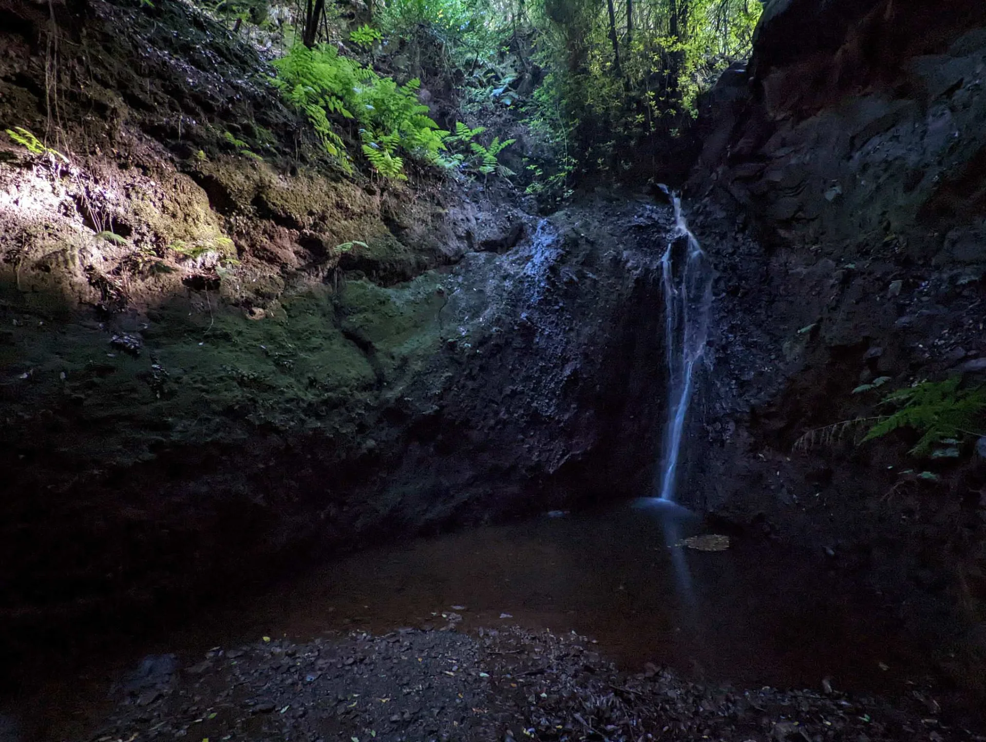 Wasserfall in ein schattiges Becken