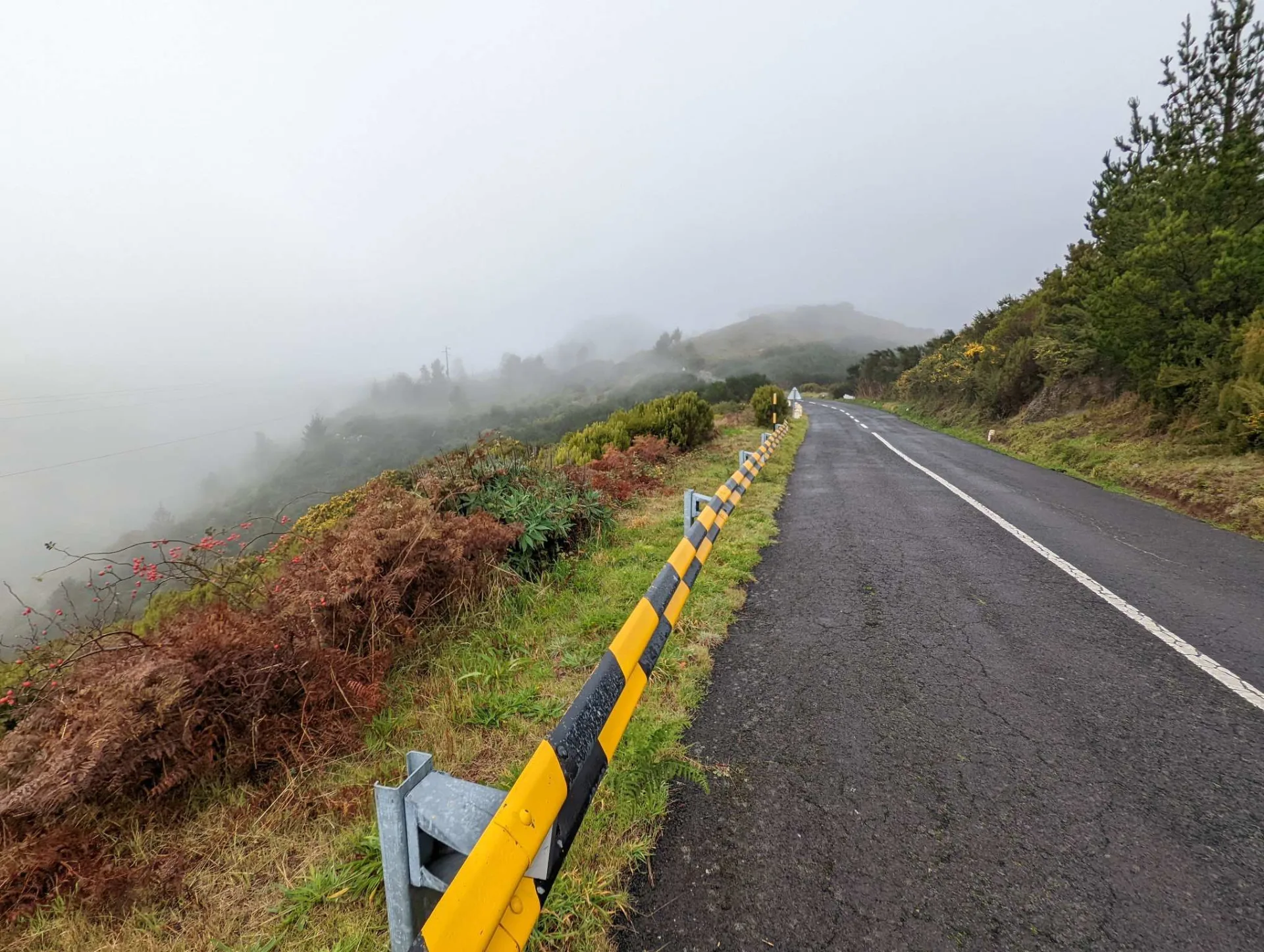 Nebelstraße beim Aufstieg zum Pico de Arieiro