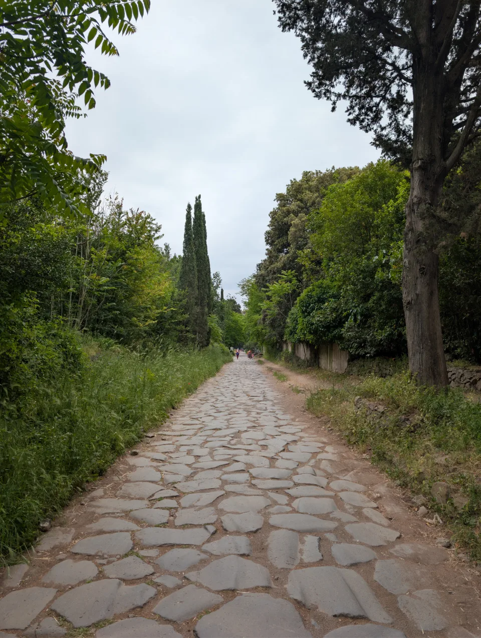 Die originalen Basalt-Pflaster der Via Appia Antica zwischen den Zypressen