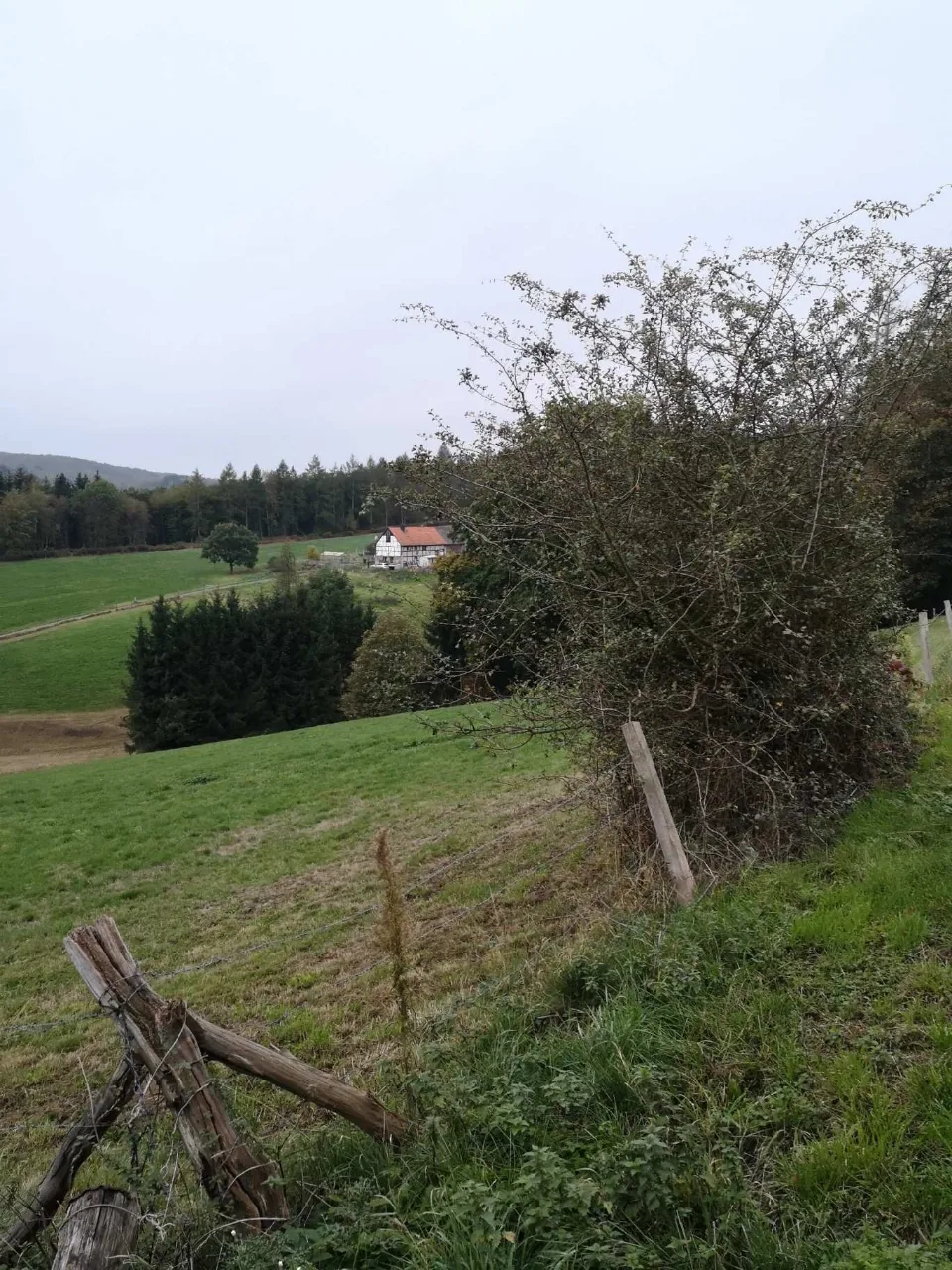 Sonnenaufgang über den ersten Höhen — Blick über Wiesen und Weidezäune ins hügelige Land.