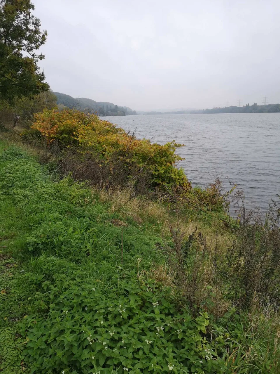 Tiefster Punkt des Tages, unten am Wasser im Ruhrtal — gleich geht es wieder hinauf.