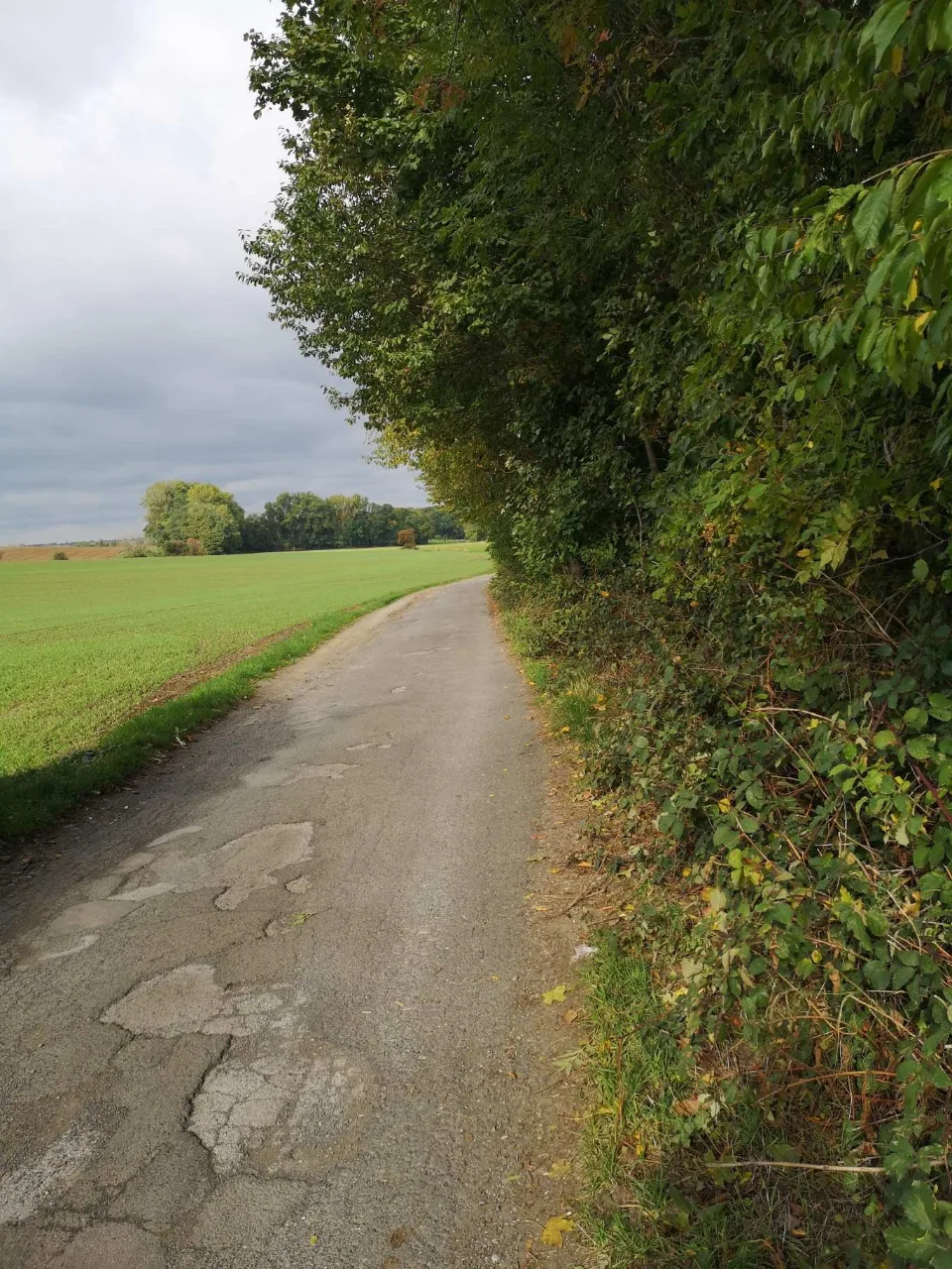 Ein Weg am Feldrand entlang der Hecke; der Himmel zieht zu.