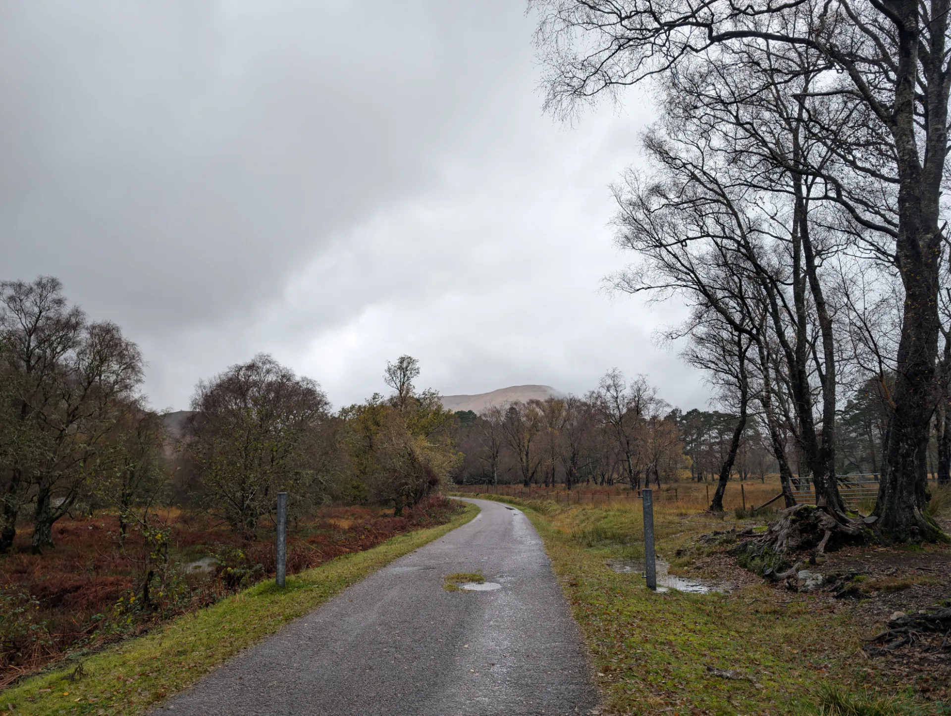 Schmaler Talweg zwischen kahlen Birken, Berge schon in Wolken