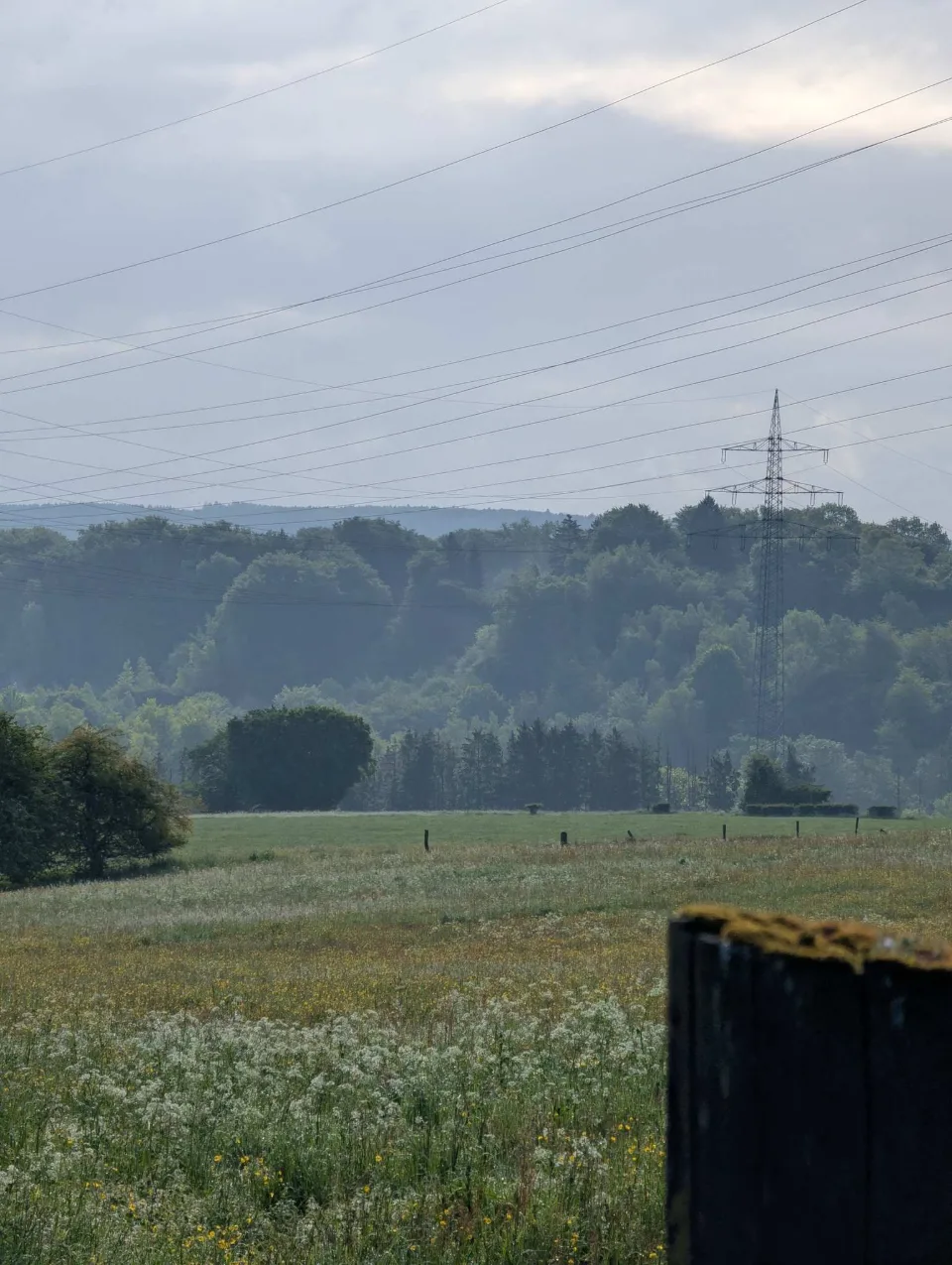 Früher Morgen im Dunst: Überlandleitungen und bewaldete Höhen über den Wiesen.