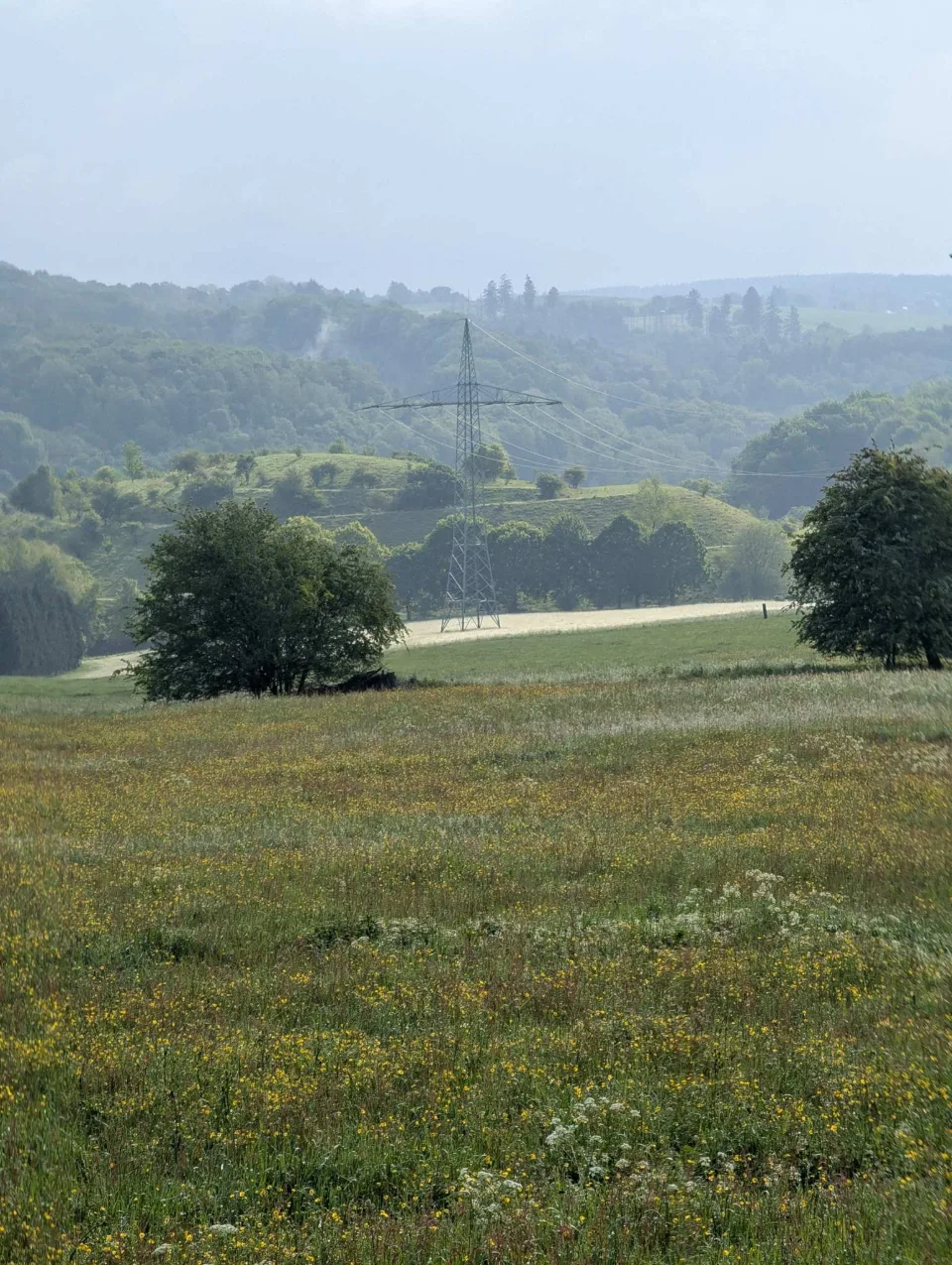 Blütenwiesen und ein Strommast im diesigen Tal — die ersten Kilometer.