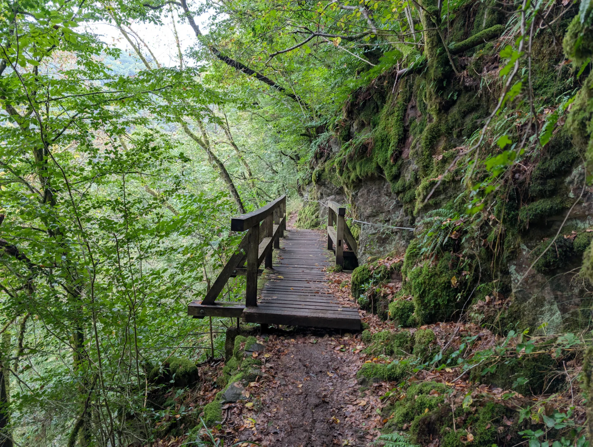 Holzbrücke im Wald — die ersten Stunden Richtung Mosenberg