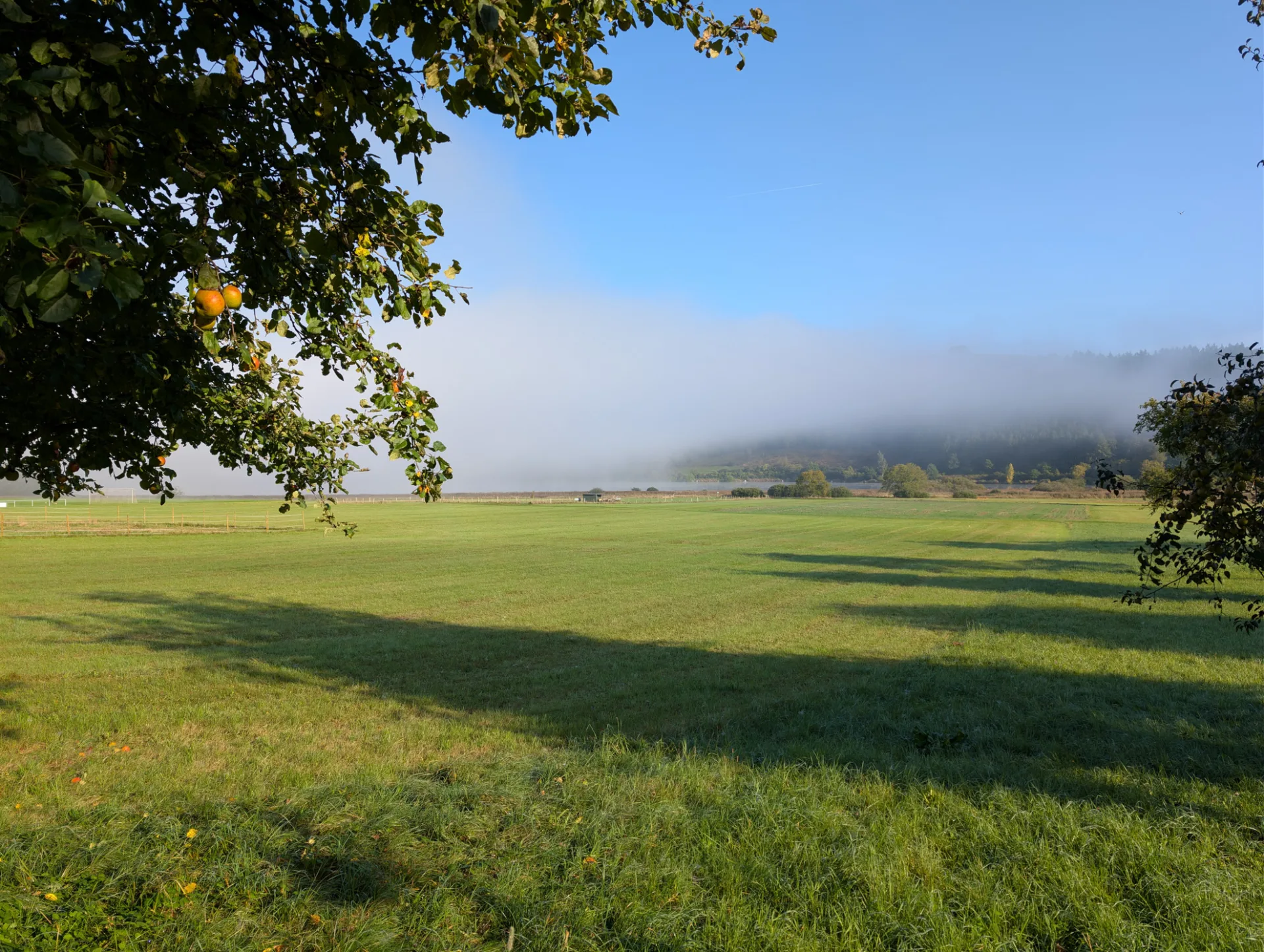 Morgennebel über dem Meerfelder Maar