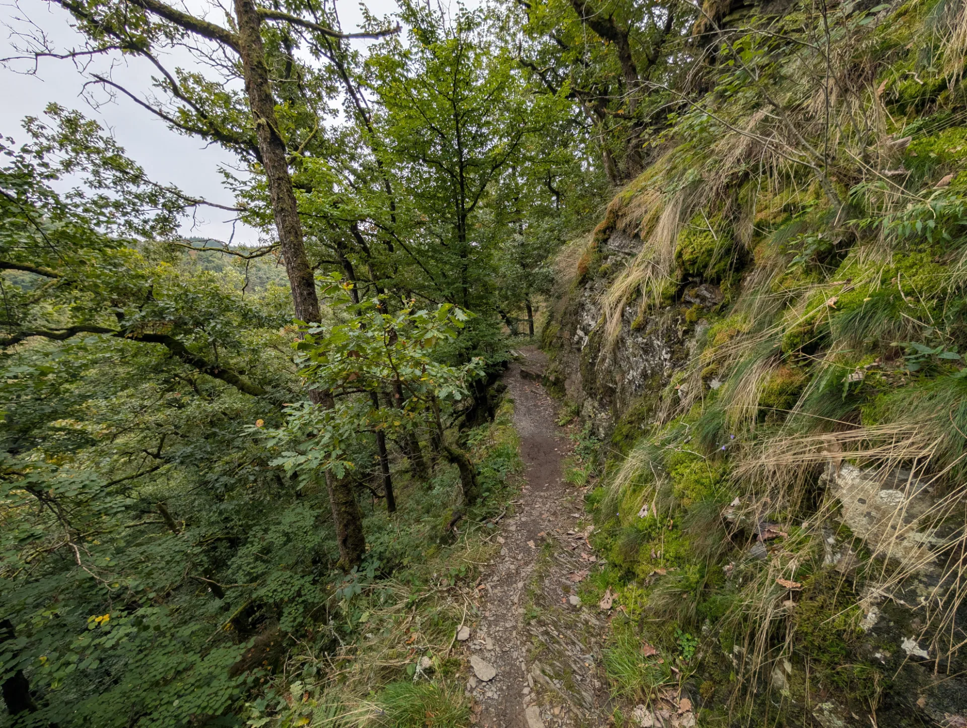 Schmaler Pfad an der Felswand vor Manderscheid